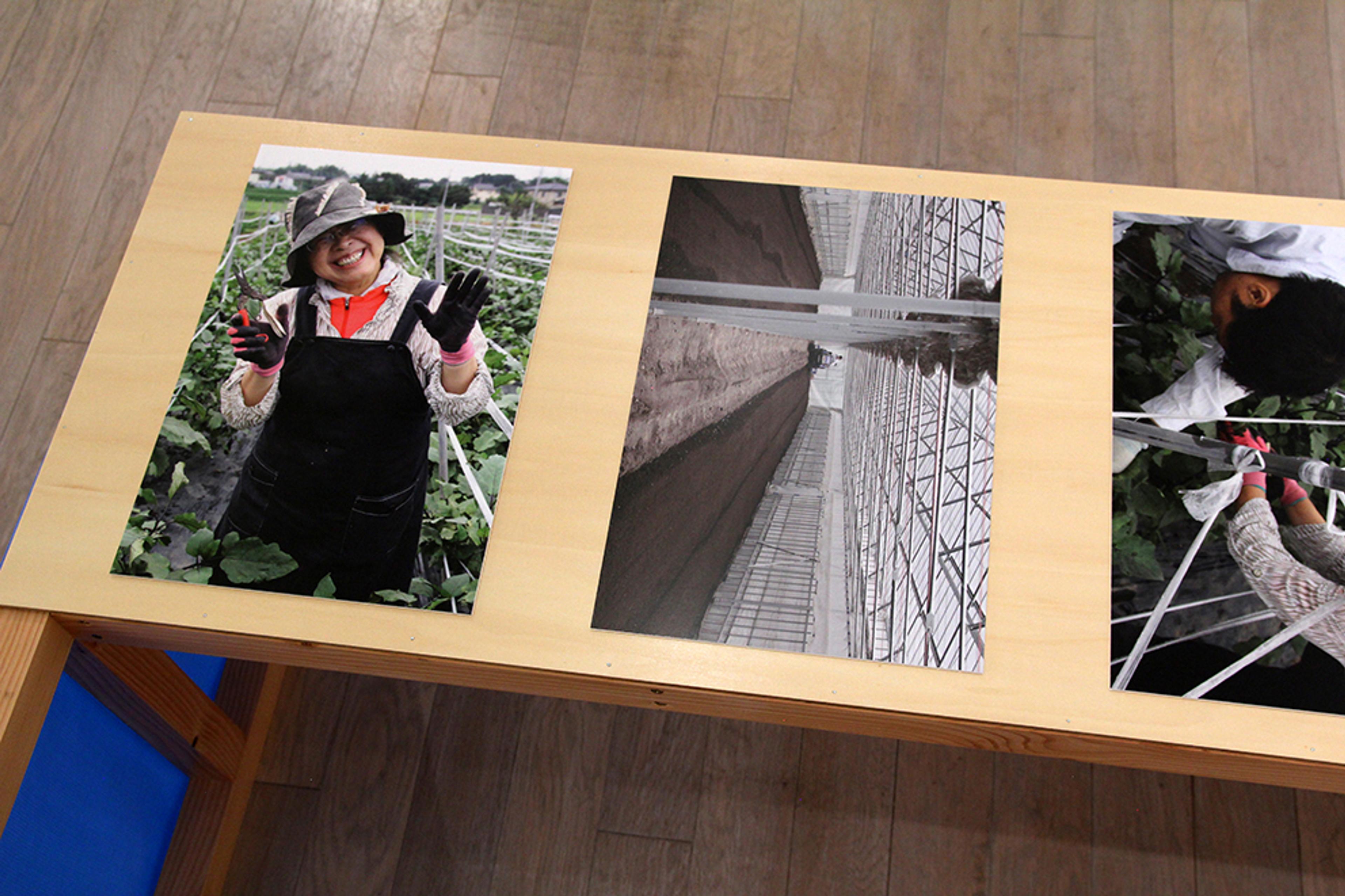 Three colour photographs are put on a table, one is showing a women gardener in a field.