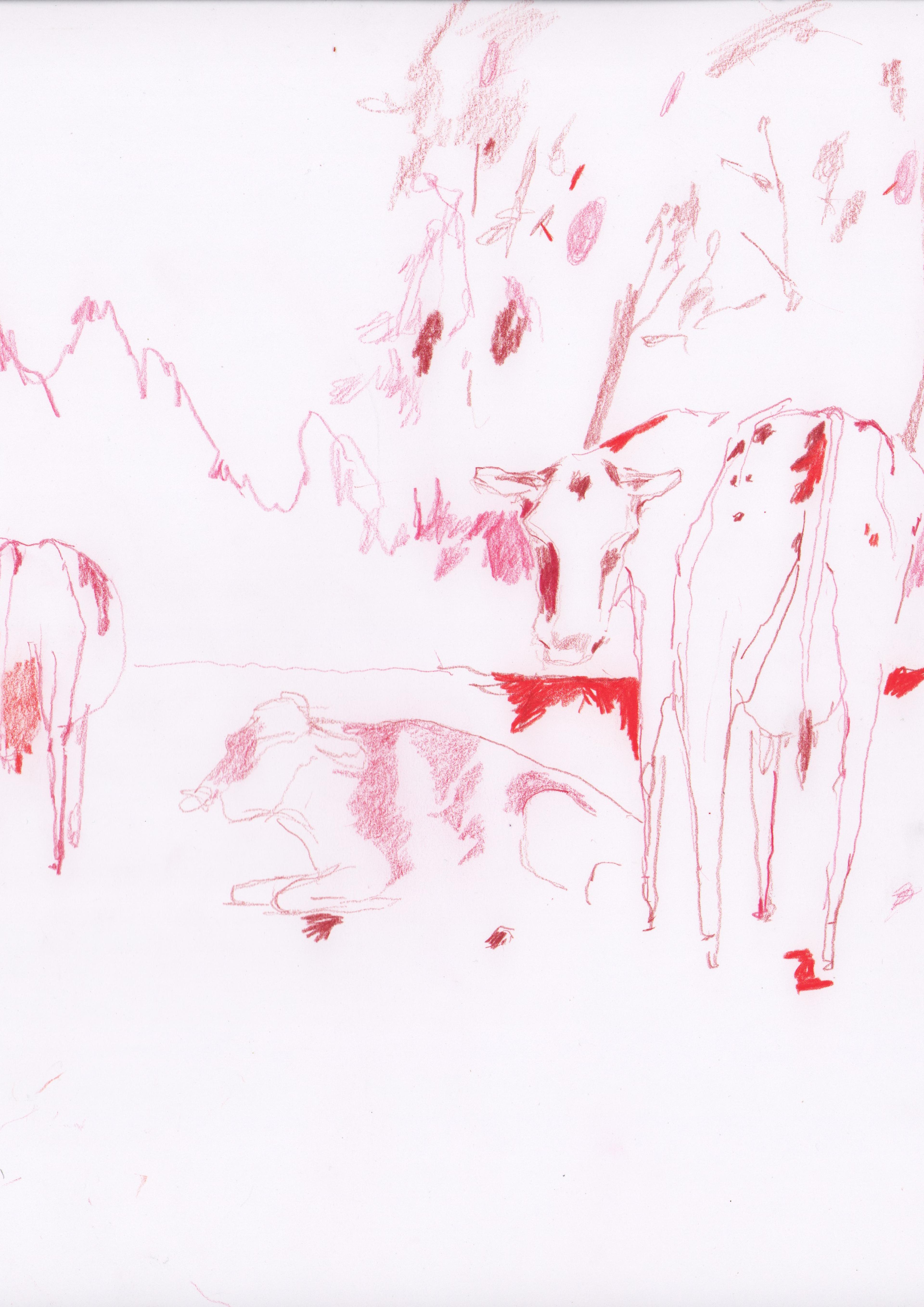 drawing of cows outdoors