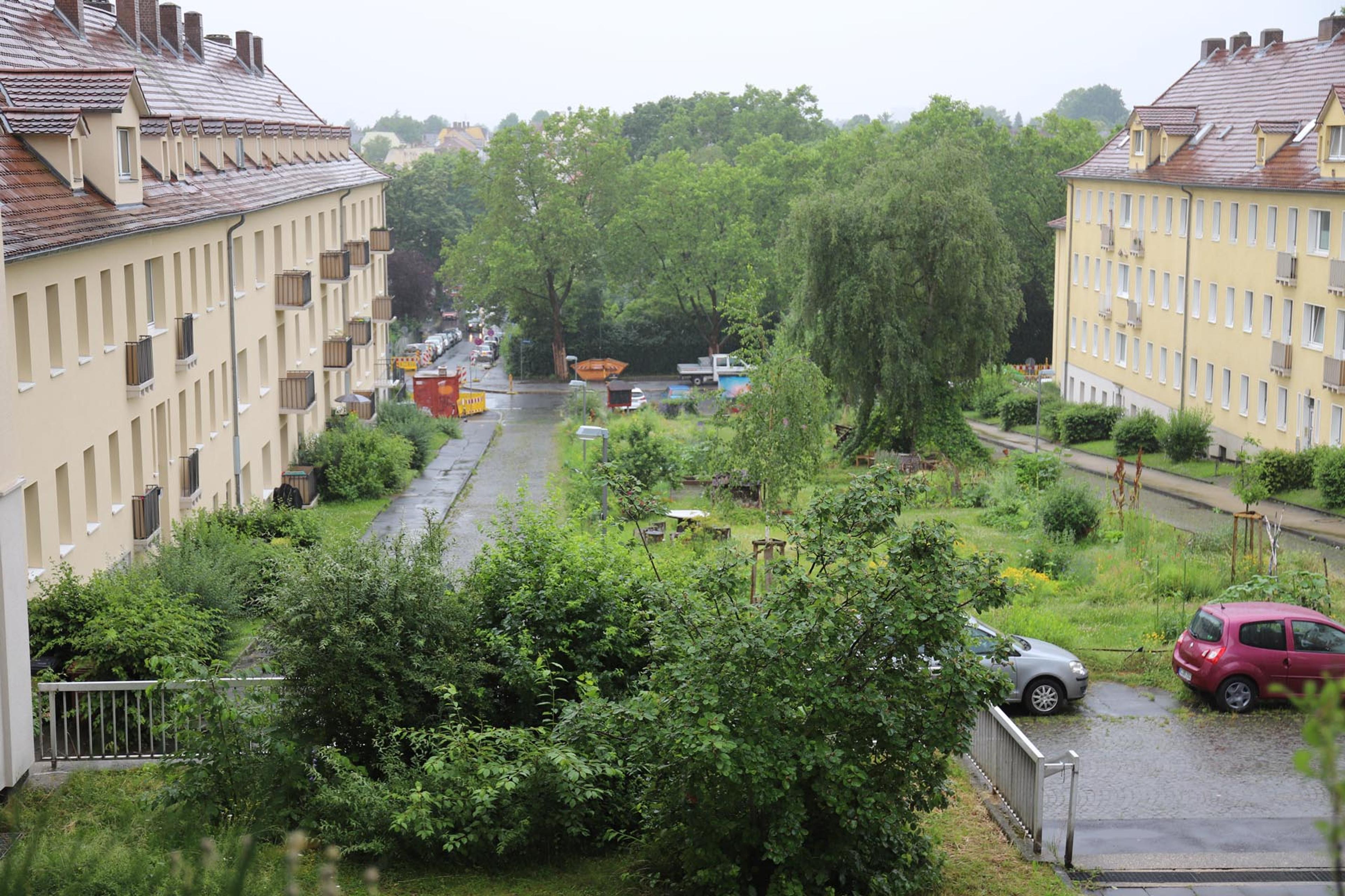 A photo showing a green area with trees between two multi-storey residential building