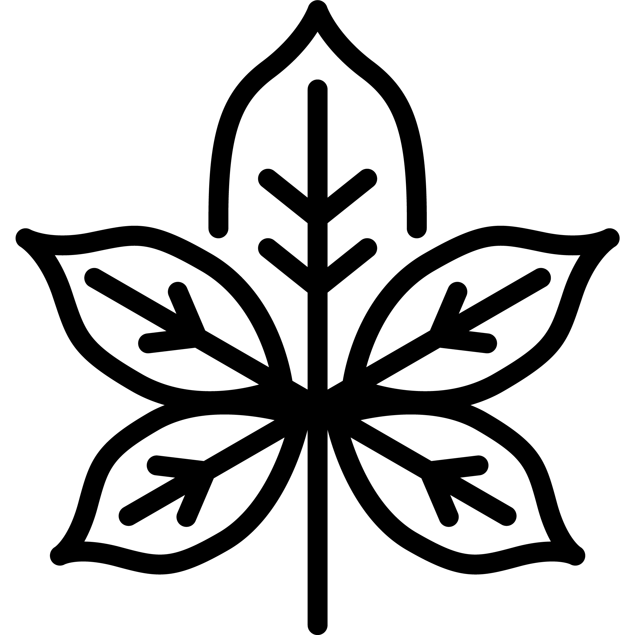 Non-Invasive & Gentle