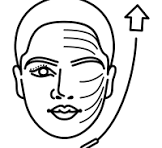 card img