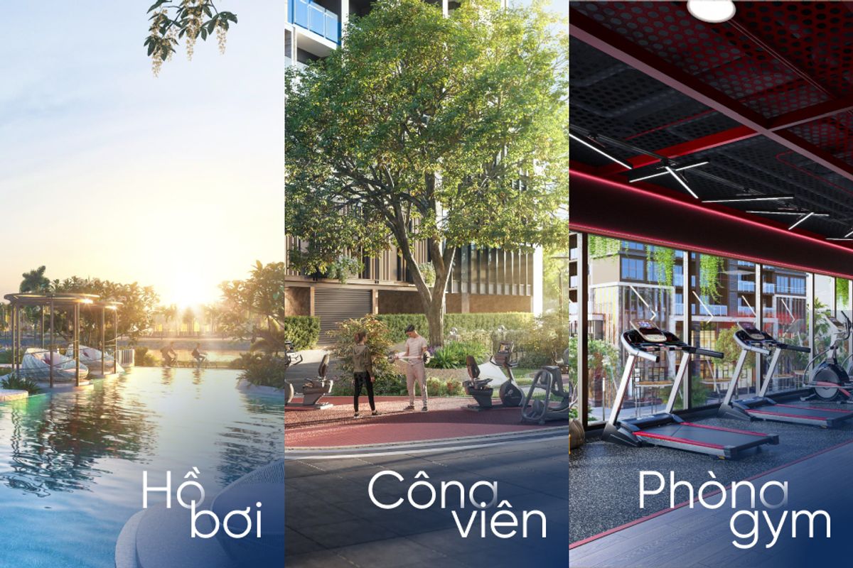 tiện ích hồ bơi công viên phòng gym the privé