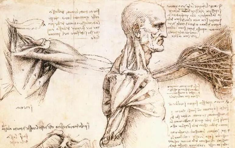 Leonardo Da Vinci's Scientific Studies