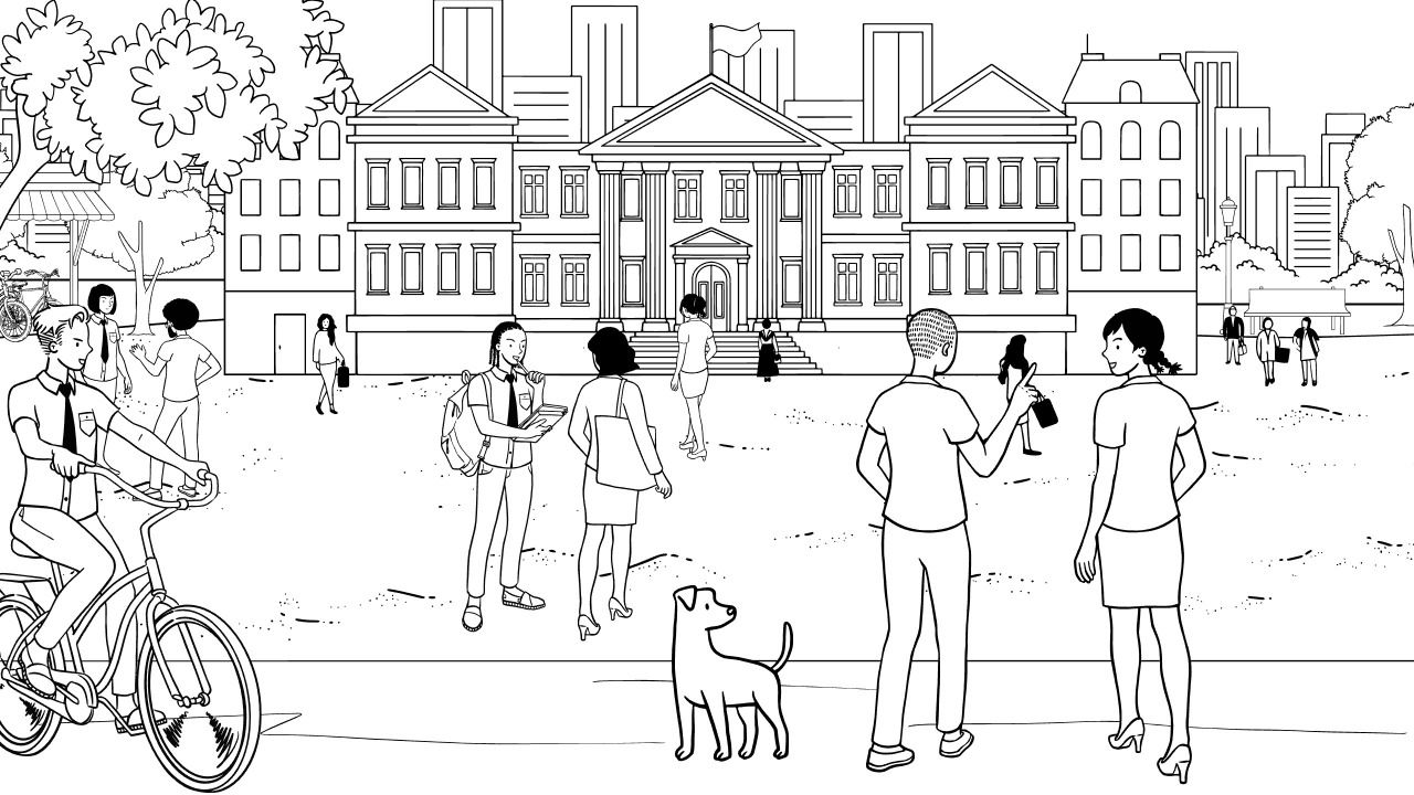 Schools & Universities