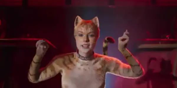 Cats Will Lose More Than $70 Million.