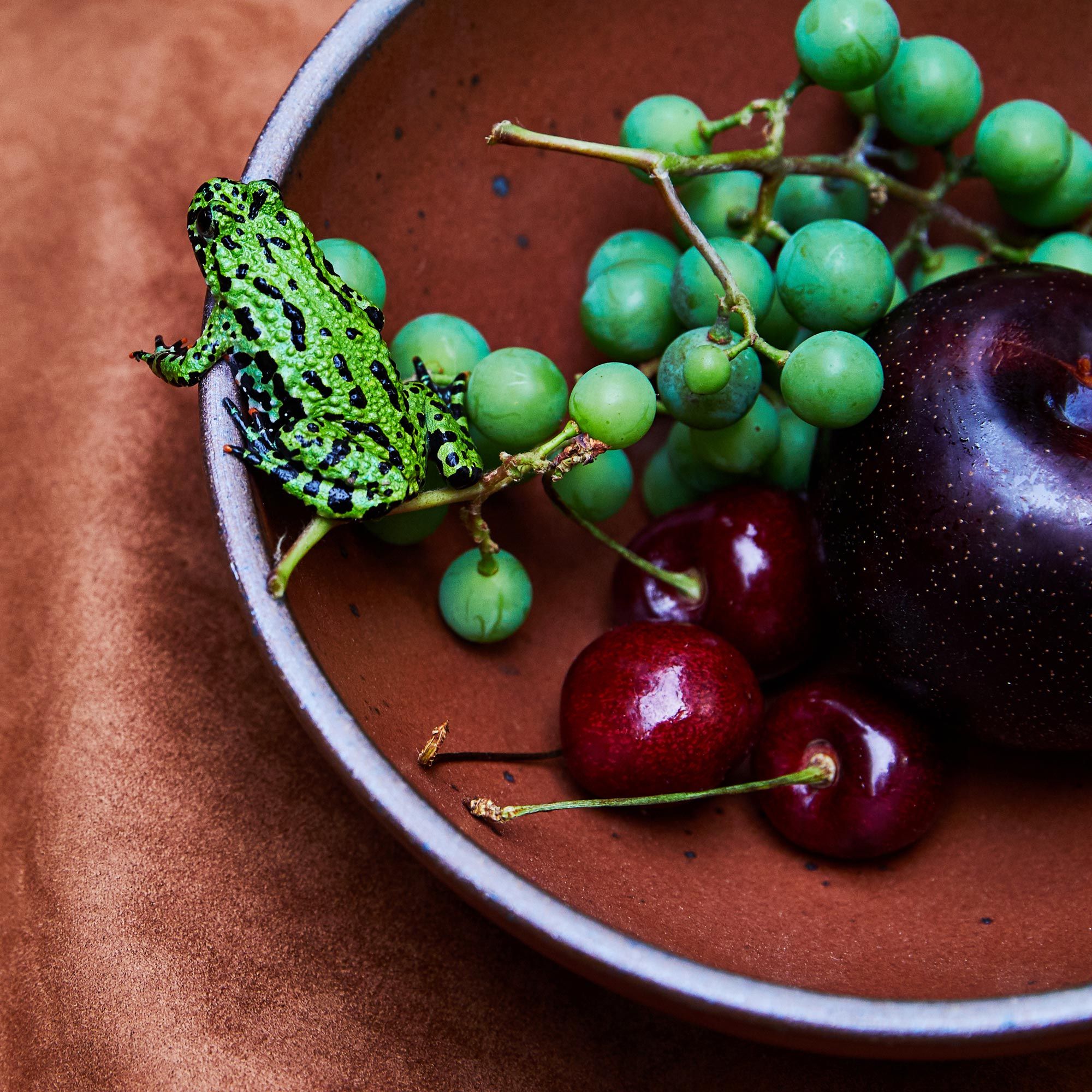 A frog peering out of an Amaro bowl with fruit