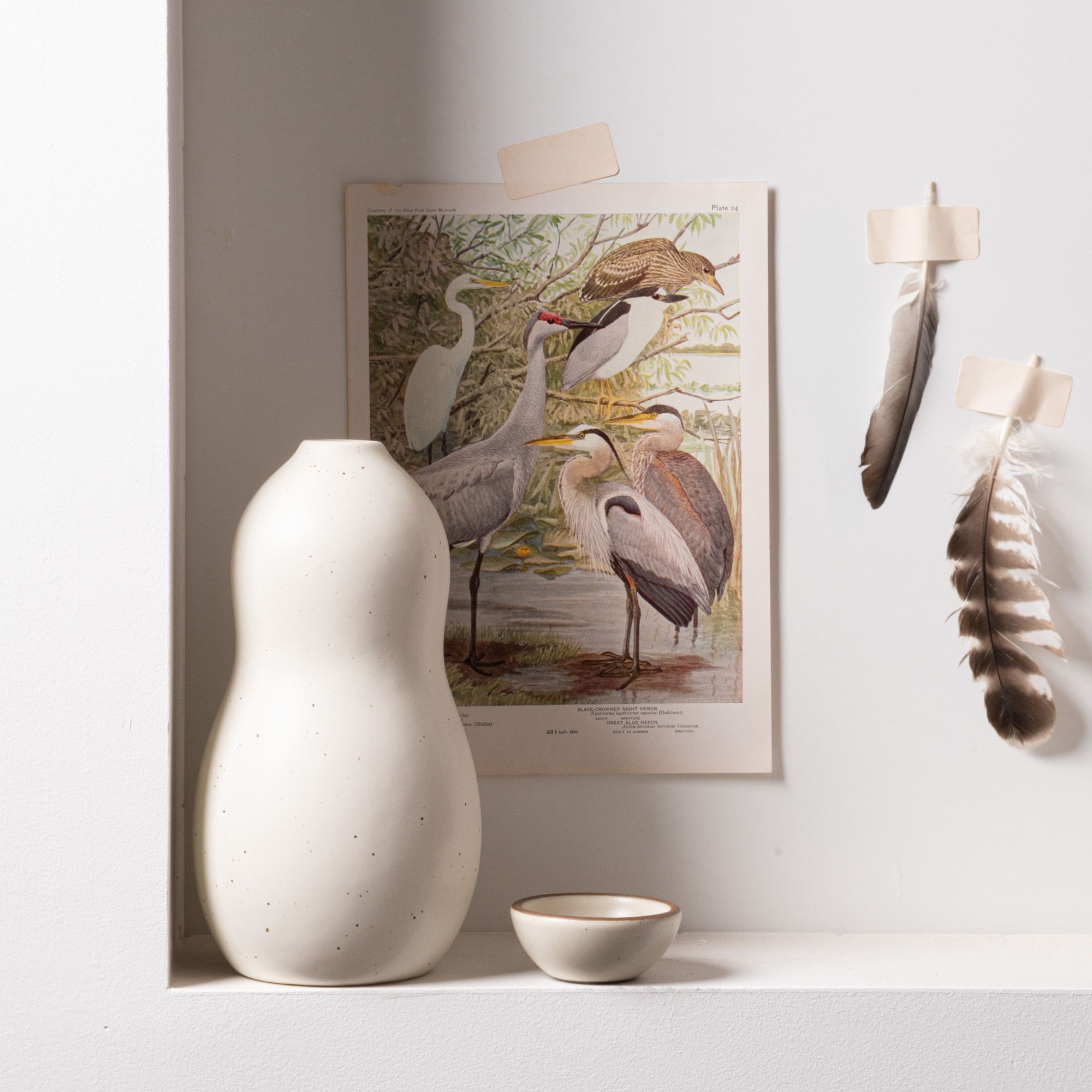 Cream curvy vase and small bowl styled on a shelf, with bird illustration and feathers taped to a white wall behind them.