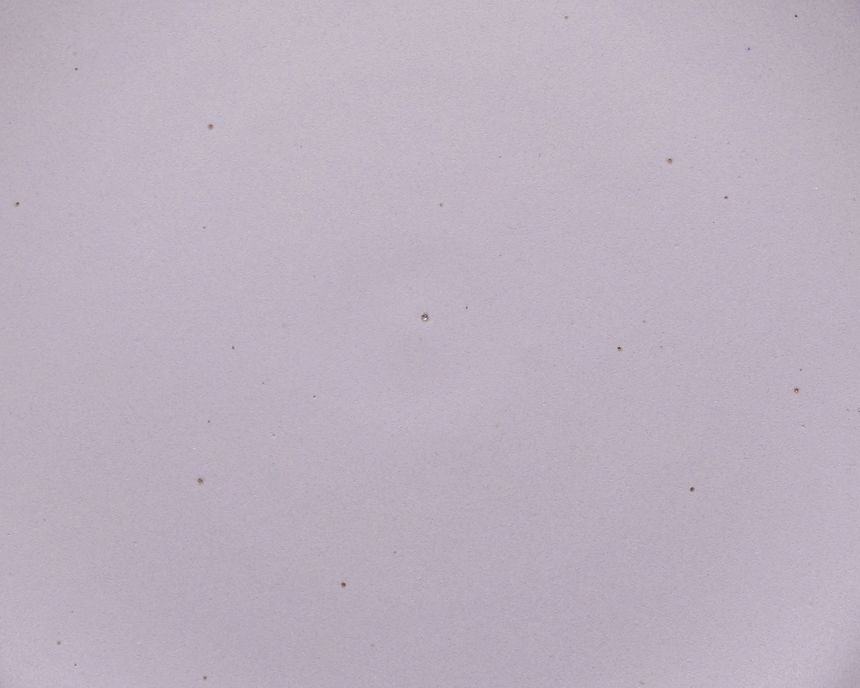 A closeup of a ceramic plate in a pastel purple color featuring iron speckles