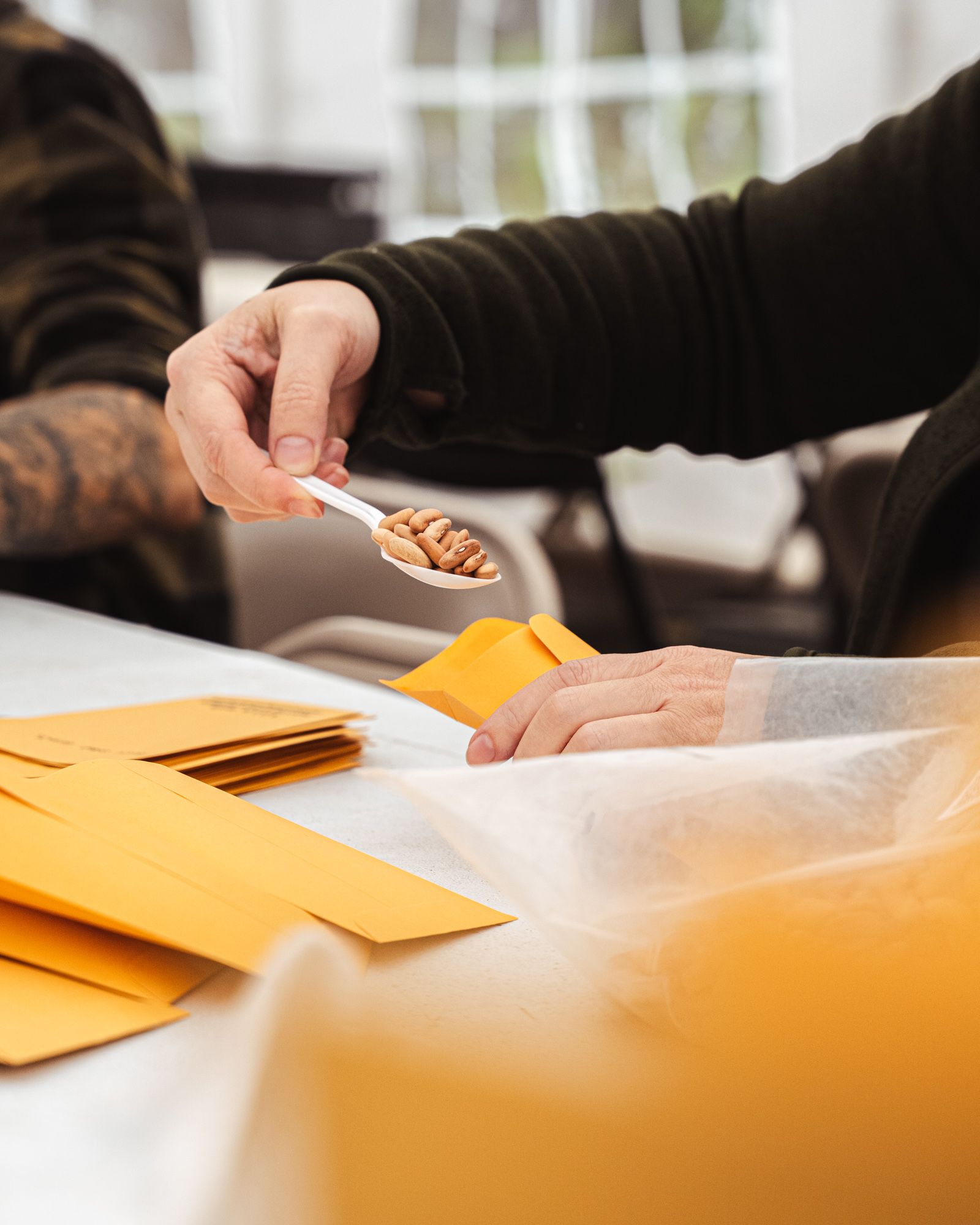 A hand scoops seeds into a manila envelope.