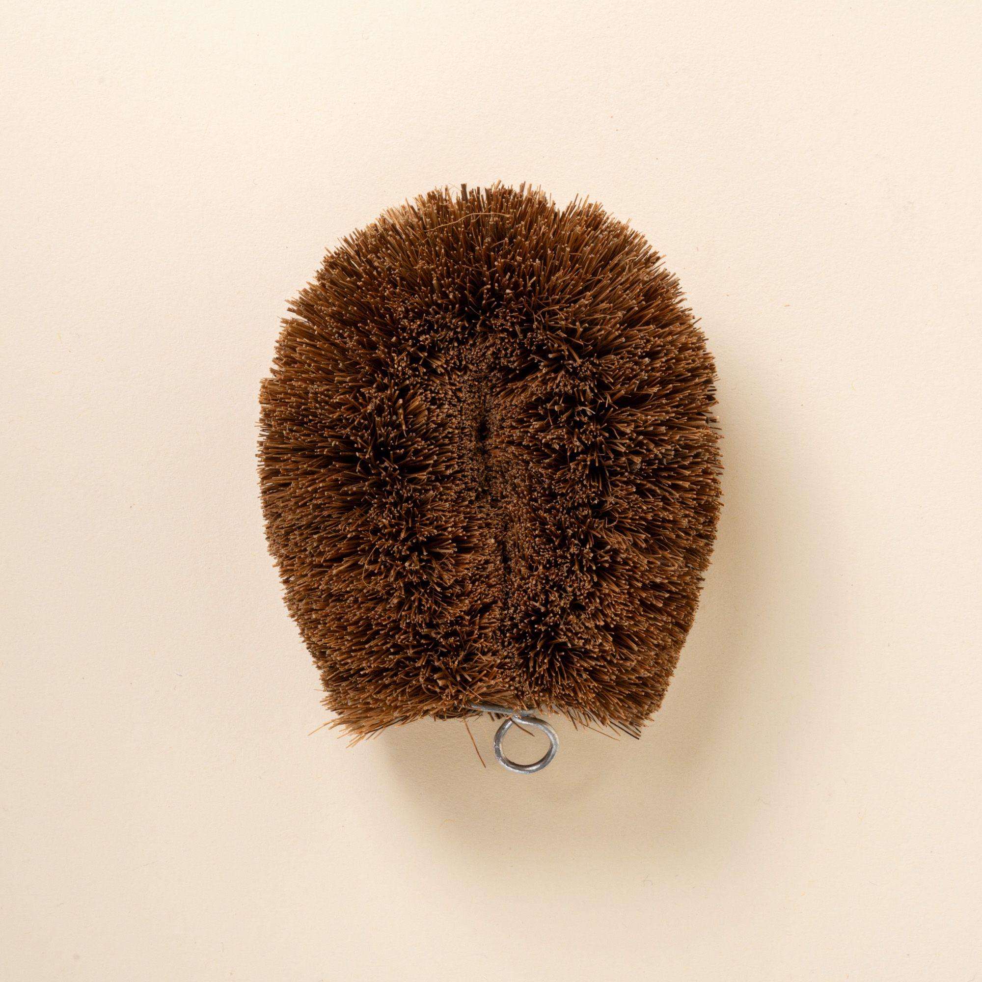 An oblong brush made of palm fiber bristles with a small metal loop at top 
