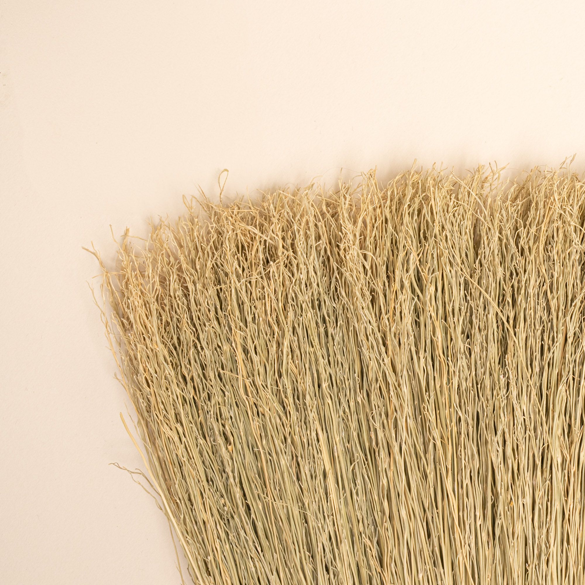 Closeup of the end of the broom's natural bristles