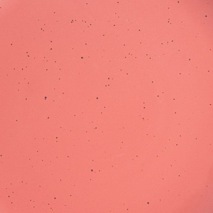 A closeup of a ceramic plate in a watermelon pink color with iron speckles throughout
