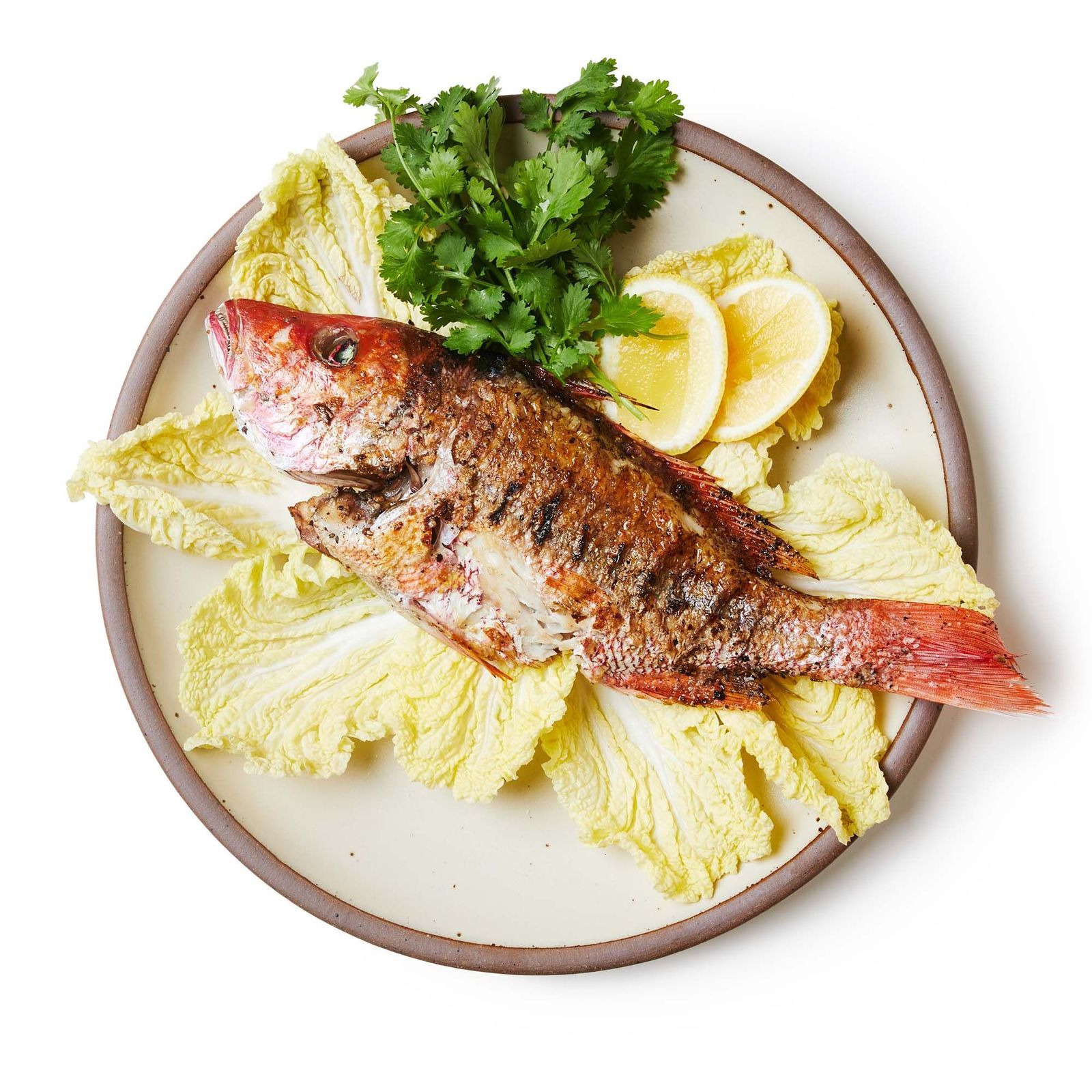 A large off-white plate with an artful display of smoked fish on a bed of lettuce, cilantro and lemon wedges