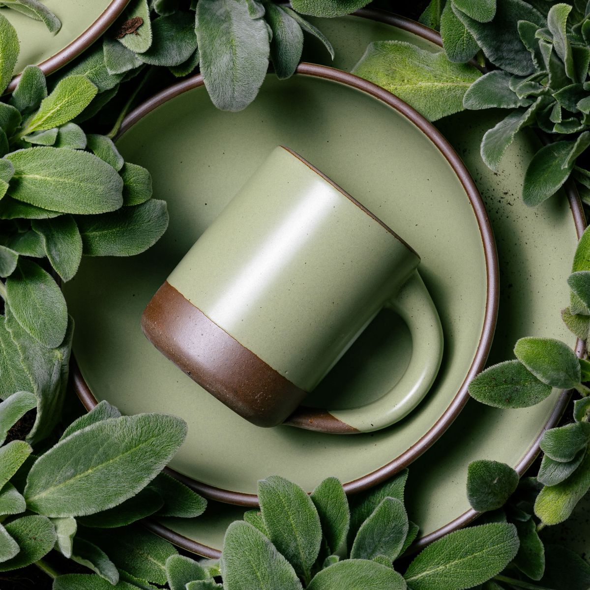 A medium sized ceramic mug with handle in a calming sage green color featuring iron speckles and unglazed rim and bottom base, surrounded by lamb's ear greenery and sitting on a ceramic plate of the same color.