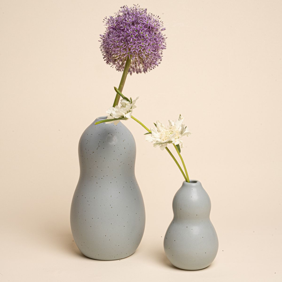 Two speckled blue-grey curvy vases on a cream background, each holding fresh flowers—one with a large purple allium and the other with two white blossoms.
