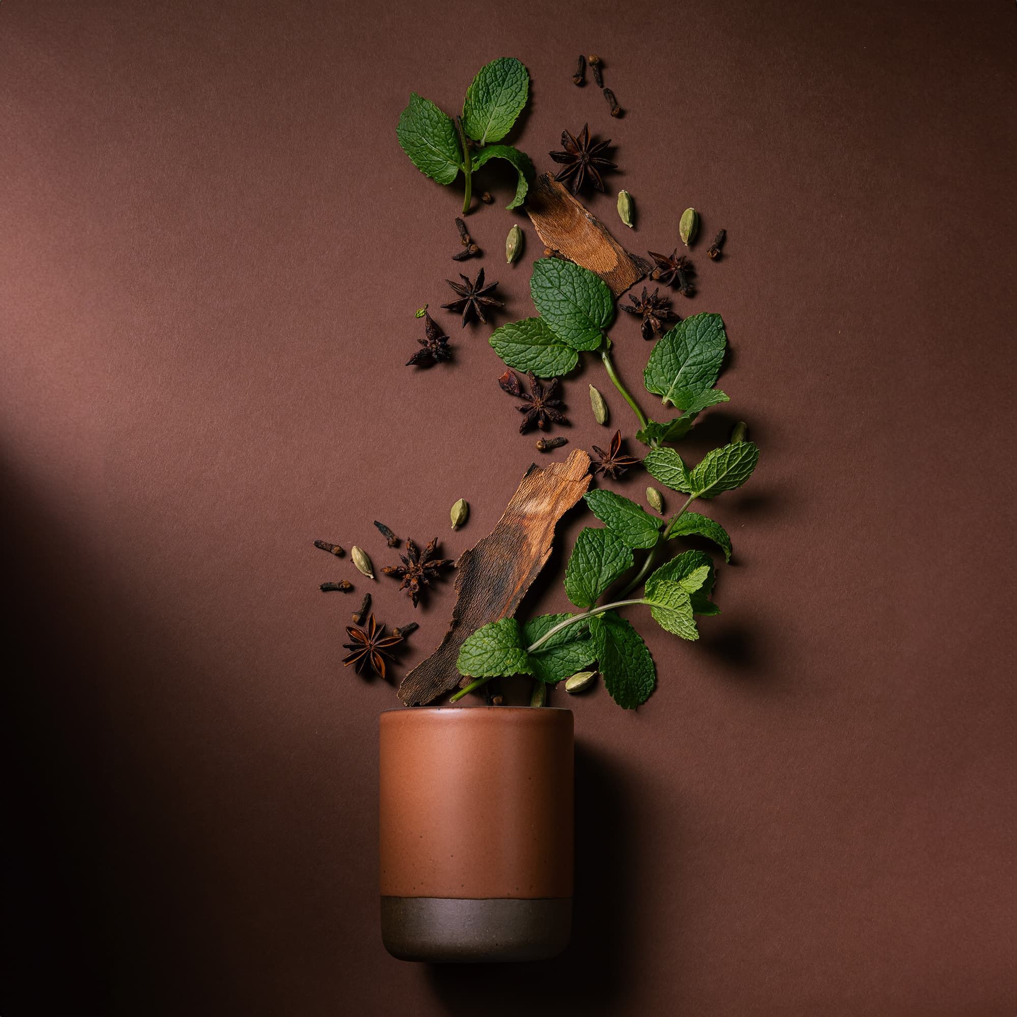 A cylindrical ceramic vessel in a cool terracotta color laying on its side - anise, clove, mint, and bark are artfully styled coming out of the top of the candle to reflect the scent.