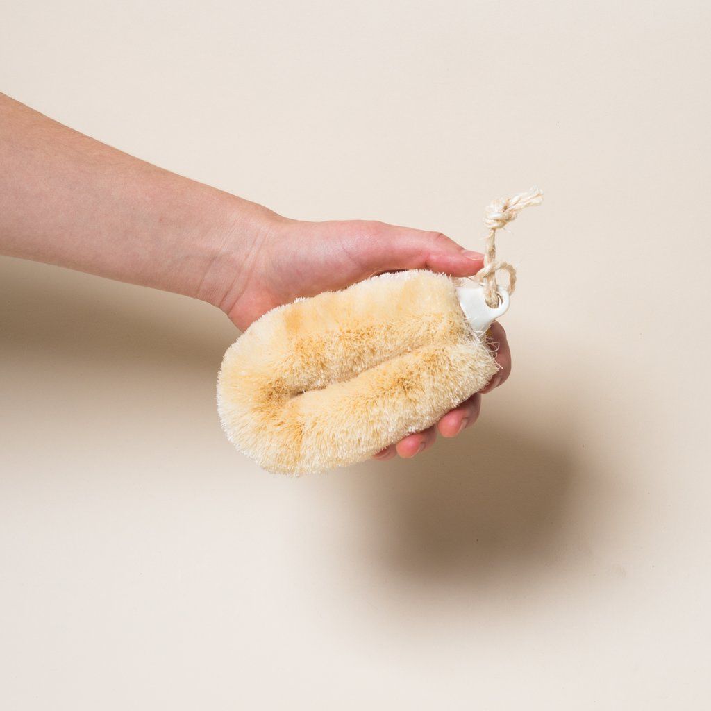 A hand holds an oval brush made of white and light brown palm fiber bristles.
