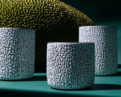 Three white ceramic vessels in Small, Medium, and Big with cracked texture and the interior being dark teal. Artfully arranged in a moody studio setting.