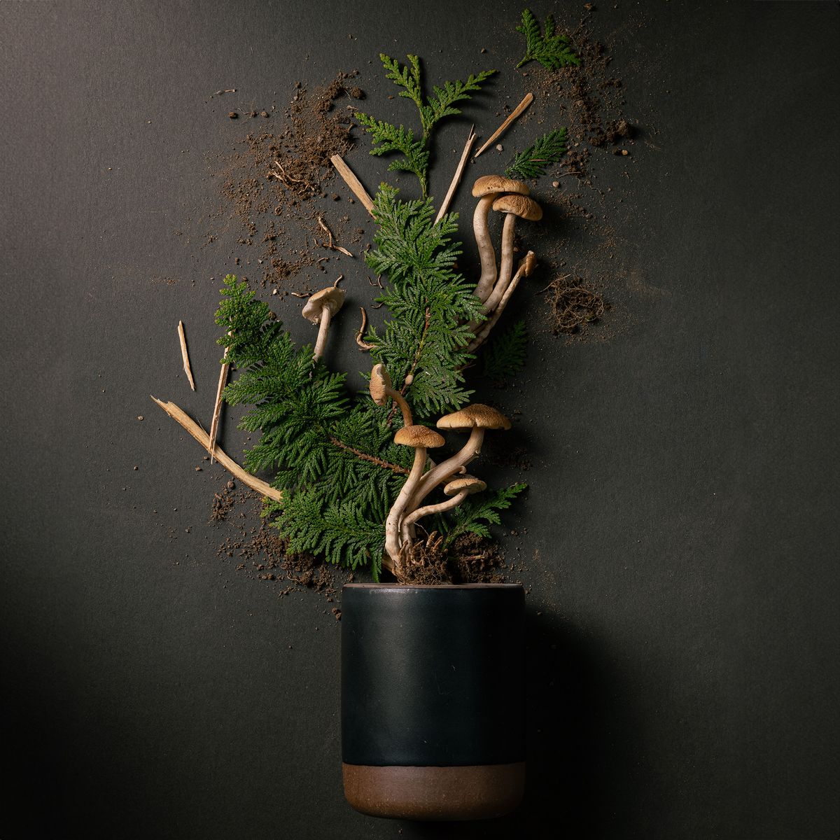 A cylindrical ceramic vessel in a muted charcoal color laying on its side - mushroom, greenery, and dirt are artfully styled coming out of the top of the candle to reflect the scent.