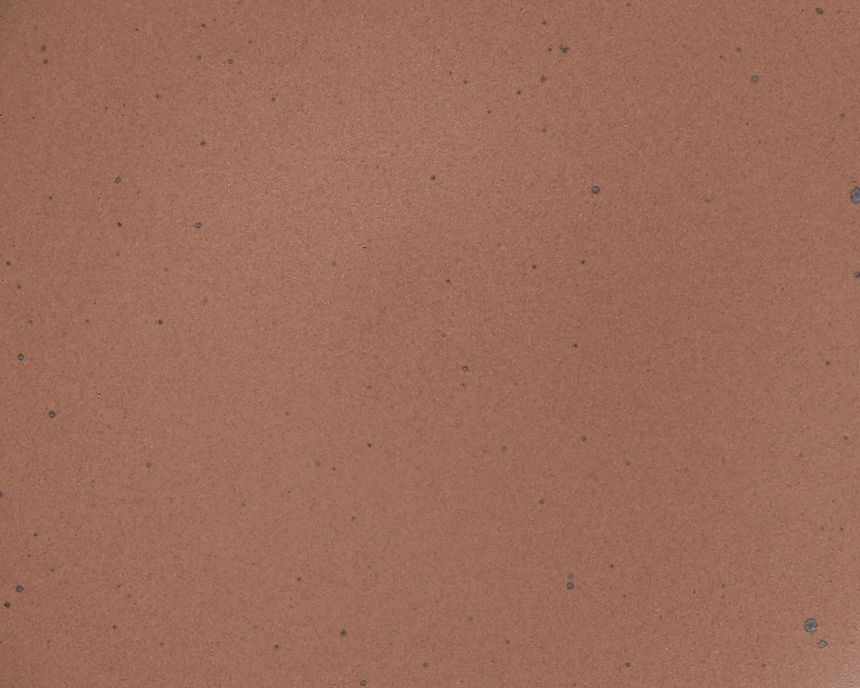 A closeup of a ceramic plate in a warm brown color featuring iron speckles
