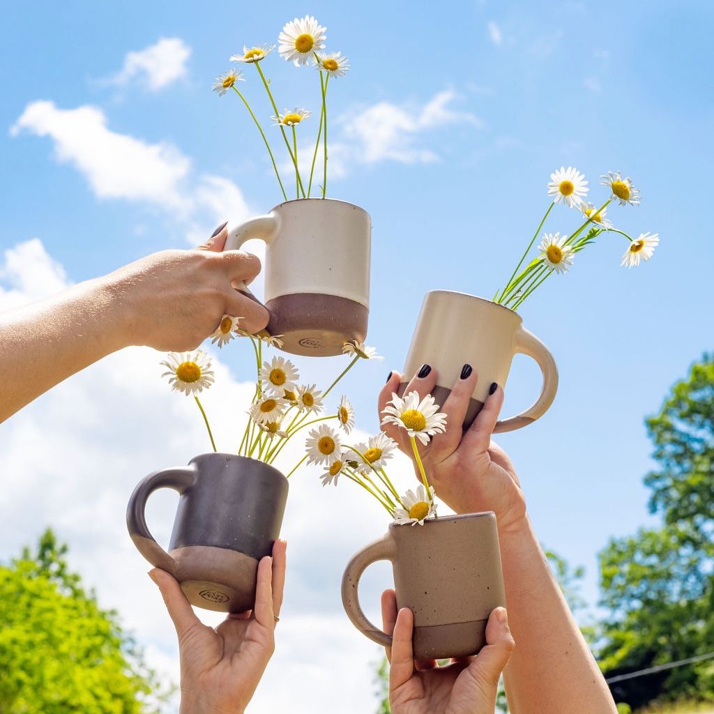 4 hands hold up 4 different ceramic mugs in neutral colors with daisies popping out the top. In the background is a big blue sky with trees.