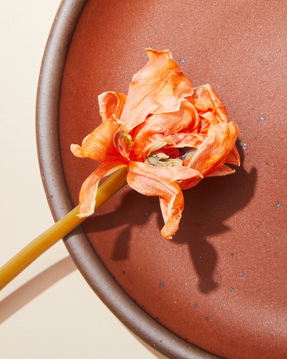 A peach flower rests on a ceramic plate in a burnt terracotta color.