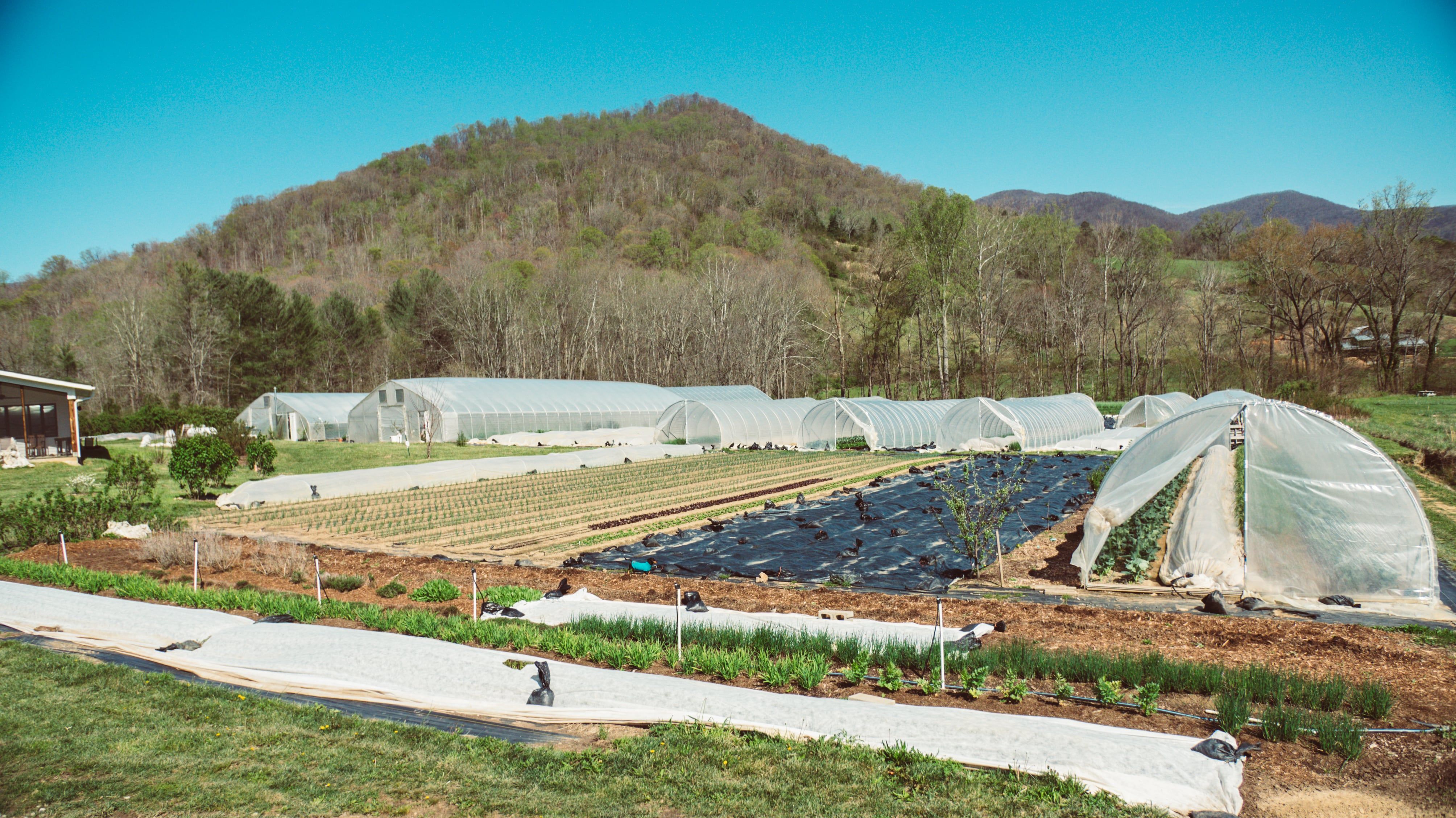 Overview of the Culinary Gardener farm