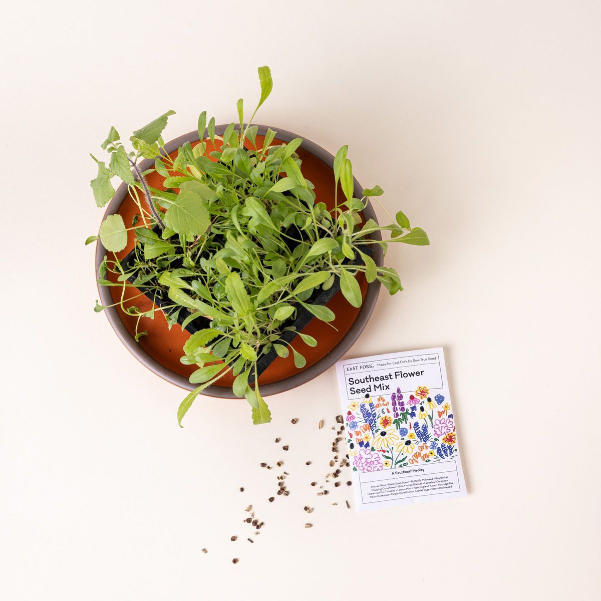 A white seed pack with floral illustrations on it sits next to a healthy green plant in a bowl.