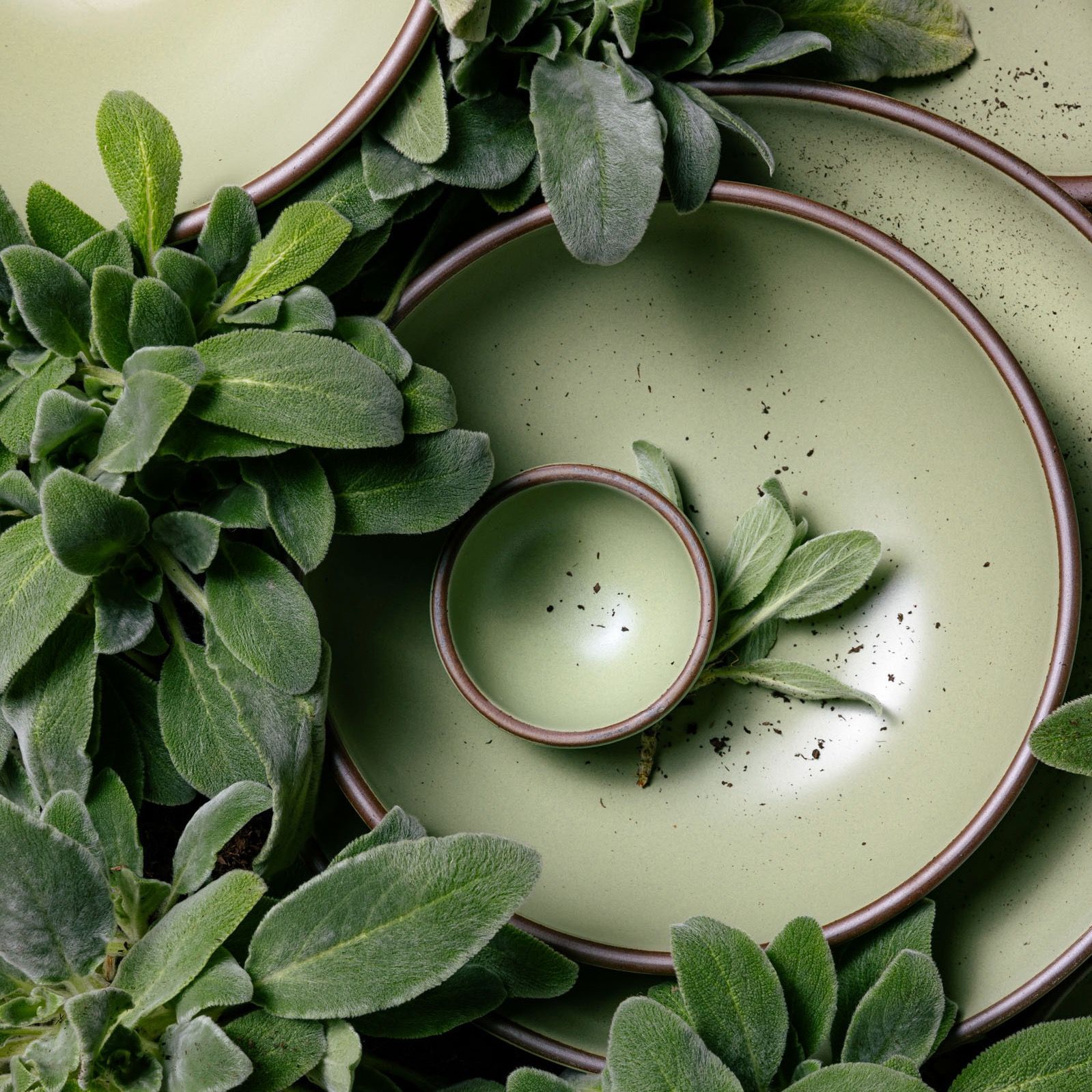 A stack of plates and bowls in various sizes in a calming sage green surrounded by lamb's ear greenery.
