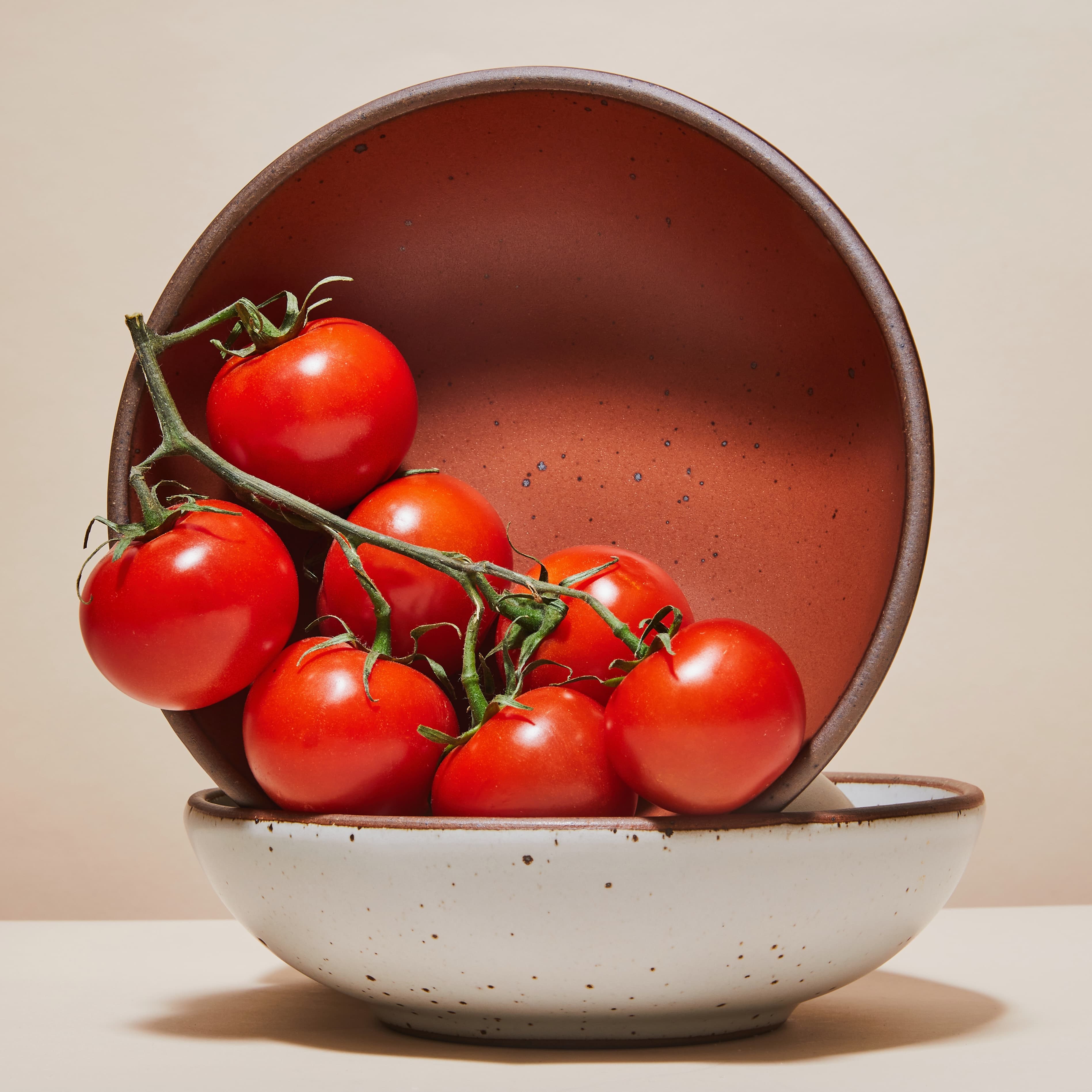 2 shallow ceramic bowls in a cool white and terracotta colors are artfully arranged with tomatoes on a vine.