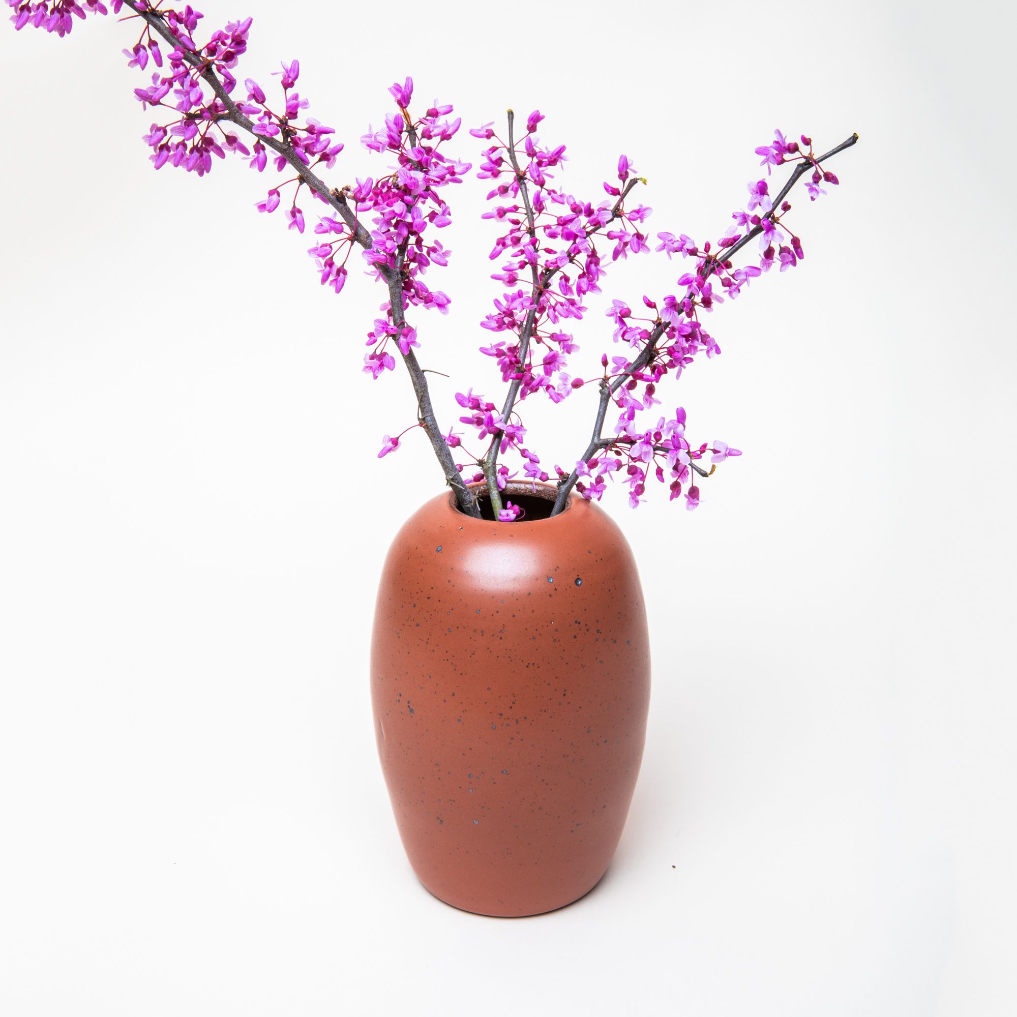 A ceramic vase in a cool burnt terracotta color featuring iron speckles with a long oval body with bright magenta branch flowers sitting inside