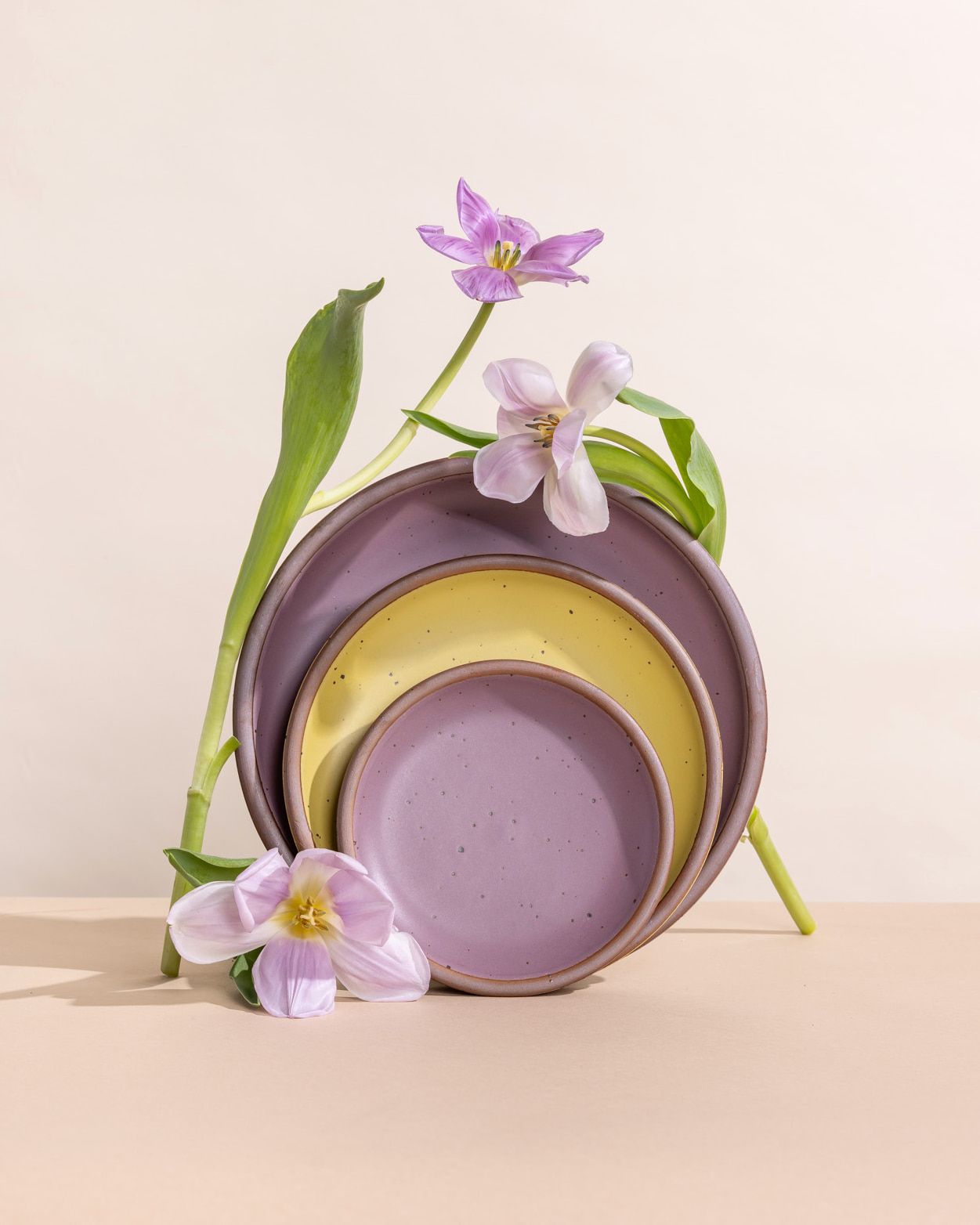 Three plates of different sizes propped up together in zesty yellow and soft purple colors with floral stems.