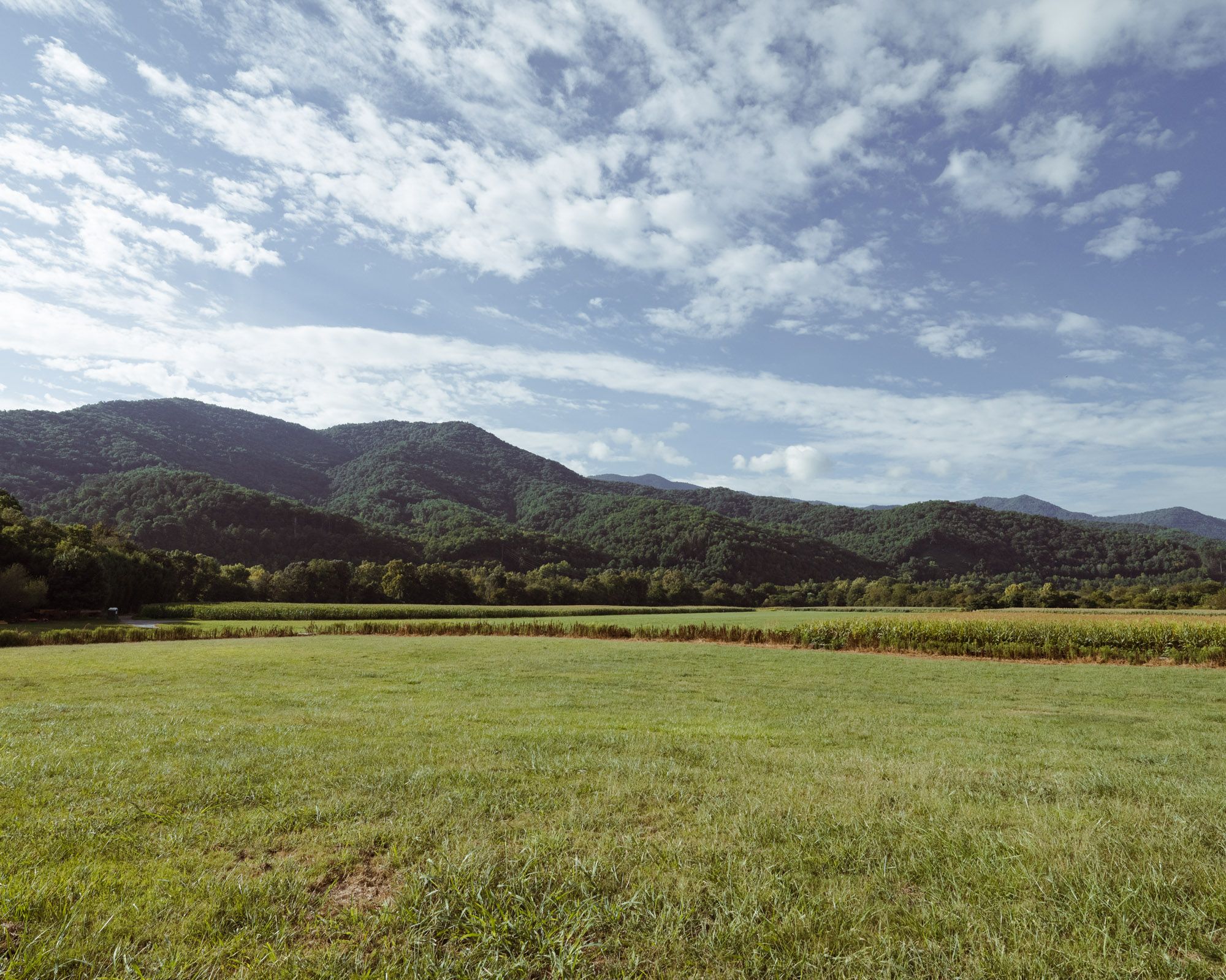 A photo of a wide landscape with a big sky, large land of grass with woods and mountains in the background.