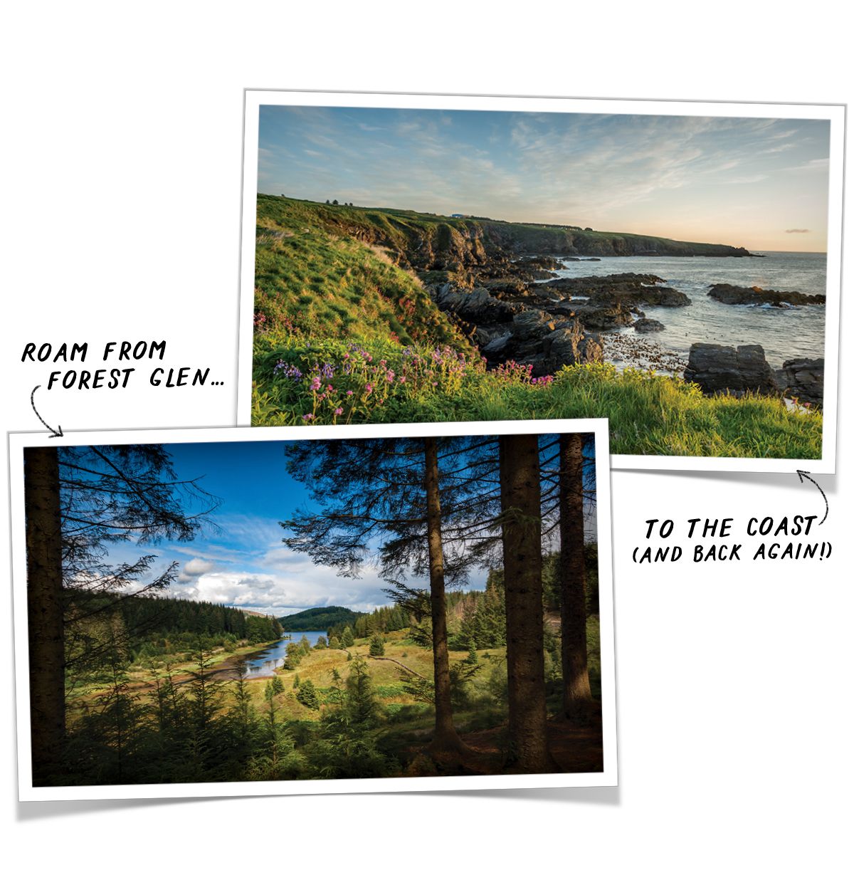Photos of coastal and wooden Scotland.