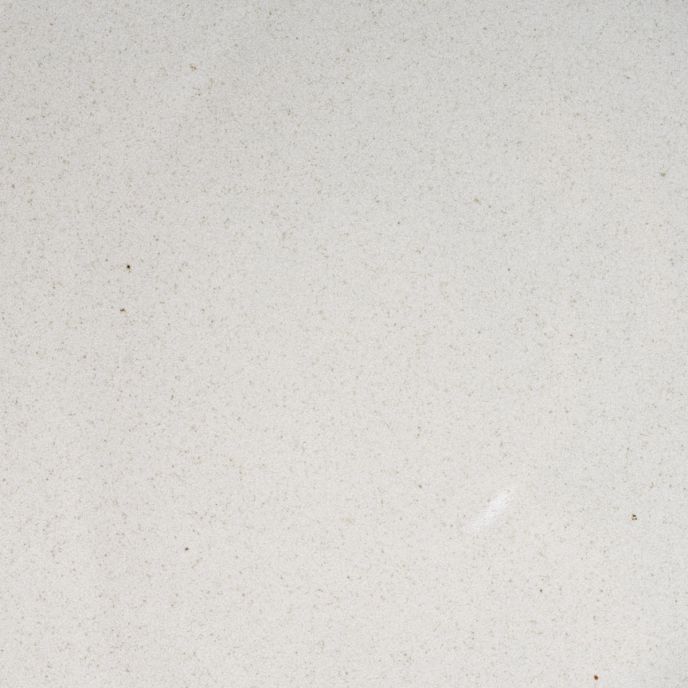 A closeup of a ceramic plate in a reflective icy white color with minimal iron speckles throughout