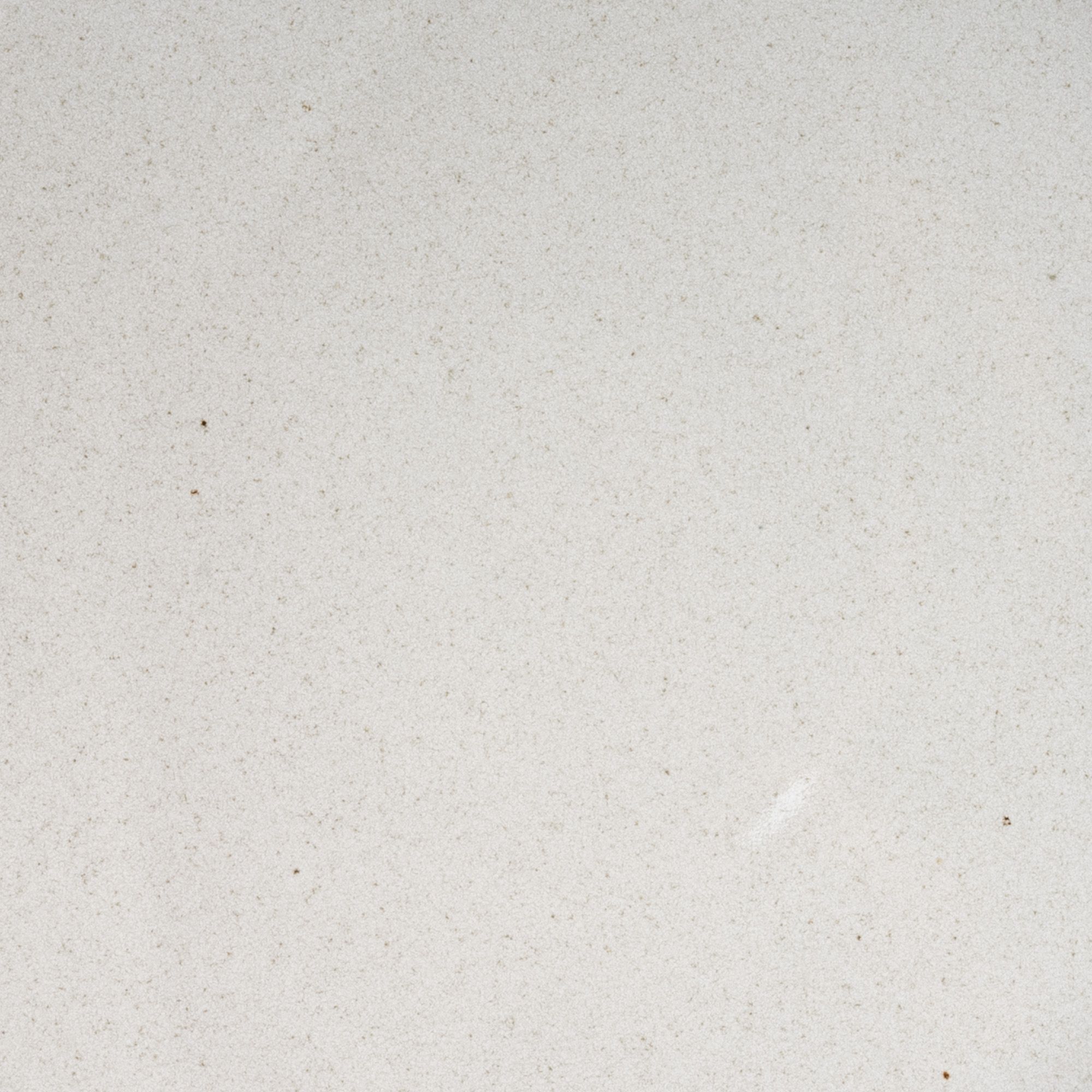 A closeup of a ceramic plate in a reflective icy white color with iron speckles throughout