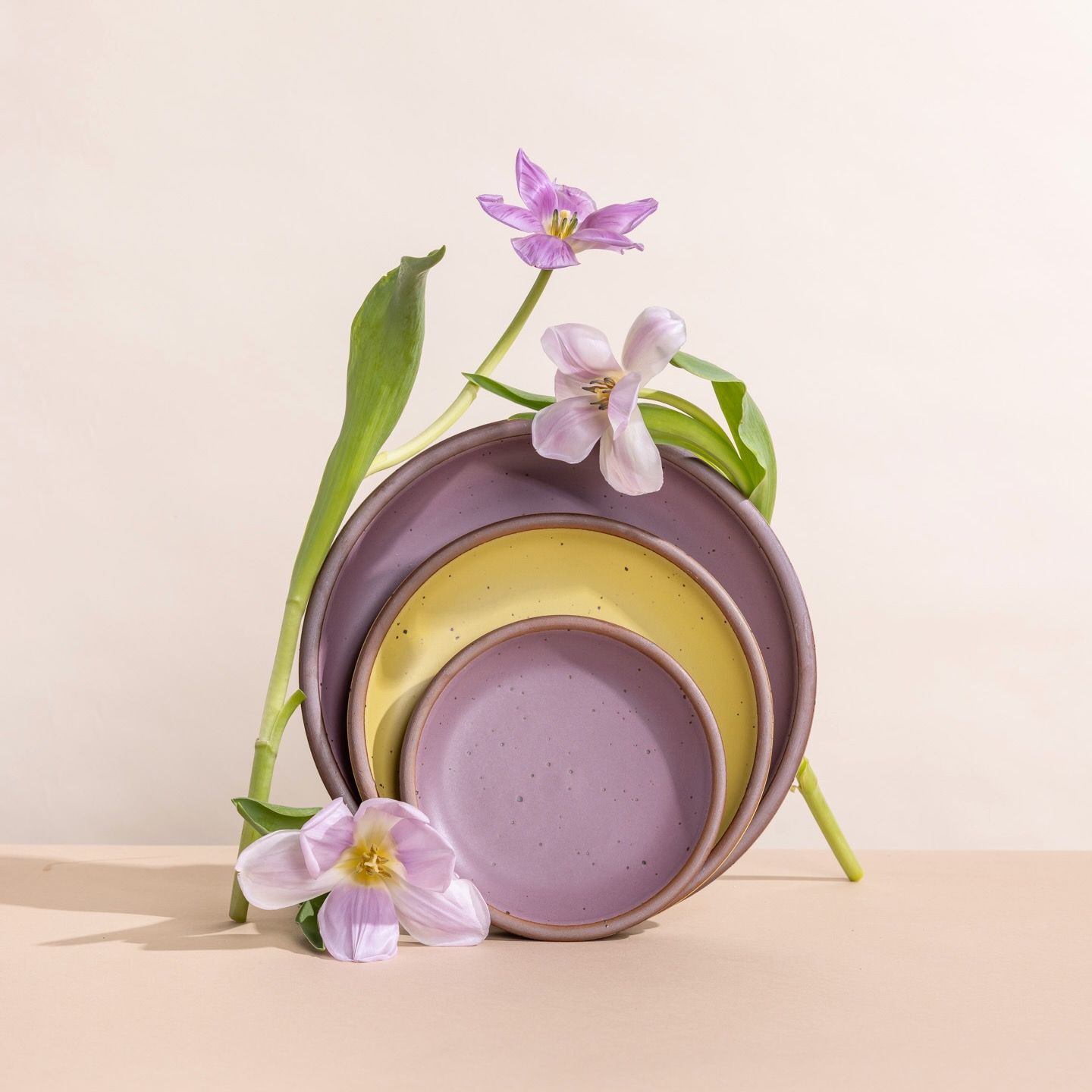 Three plates of different sizes propped up together in zesty yellow and soft purple colors with floral stems.