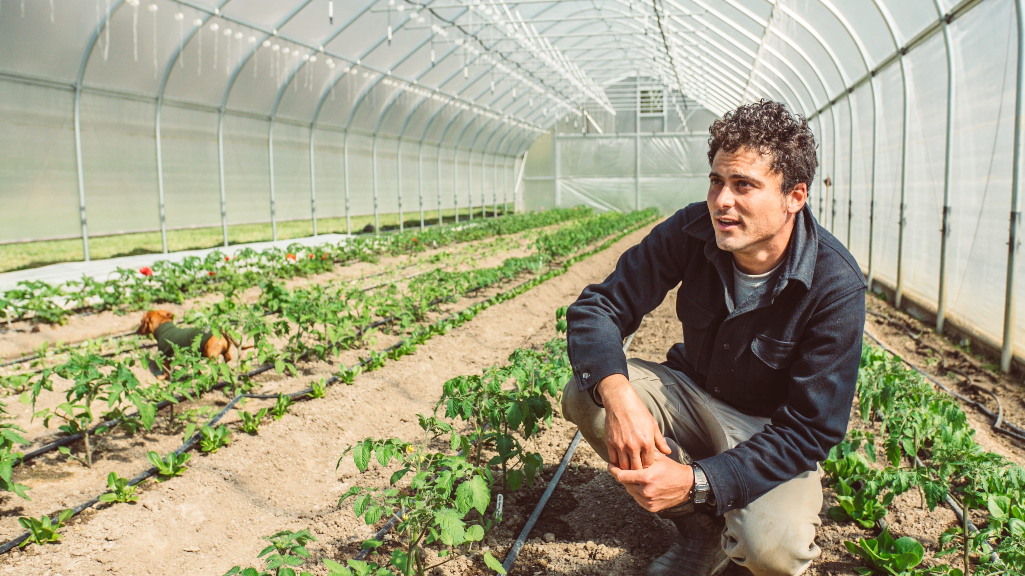 Evan in his high tunnel at Culinary Gardener