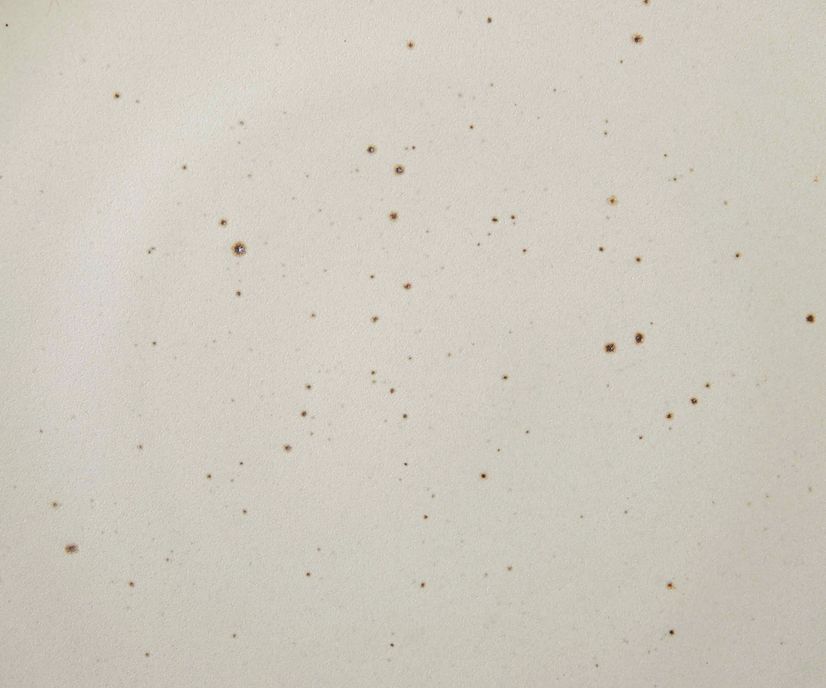 A closeup of a ceramic plate in a warm off-white color featuring iron speckles