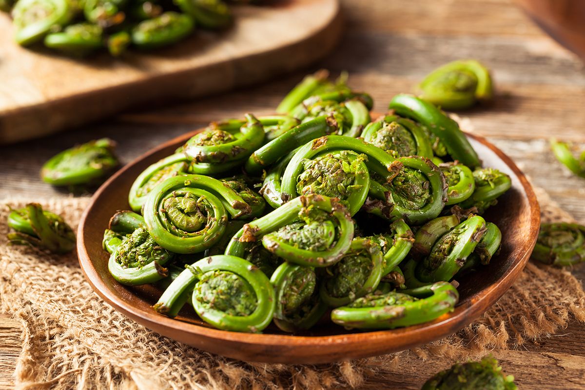Cooked fiddleheads on a plate