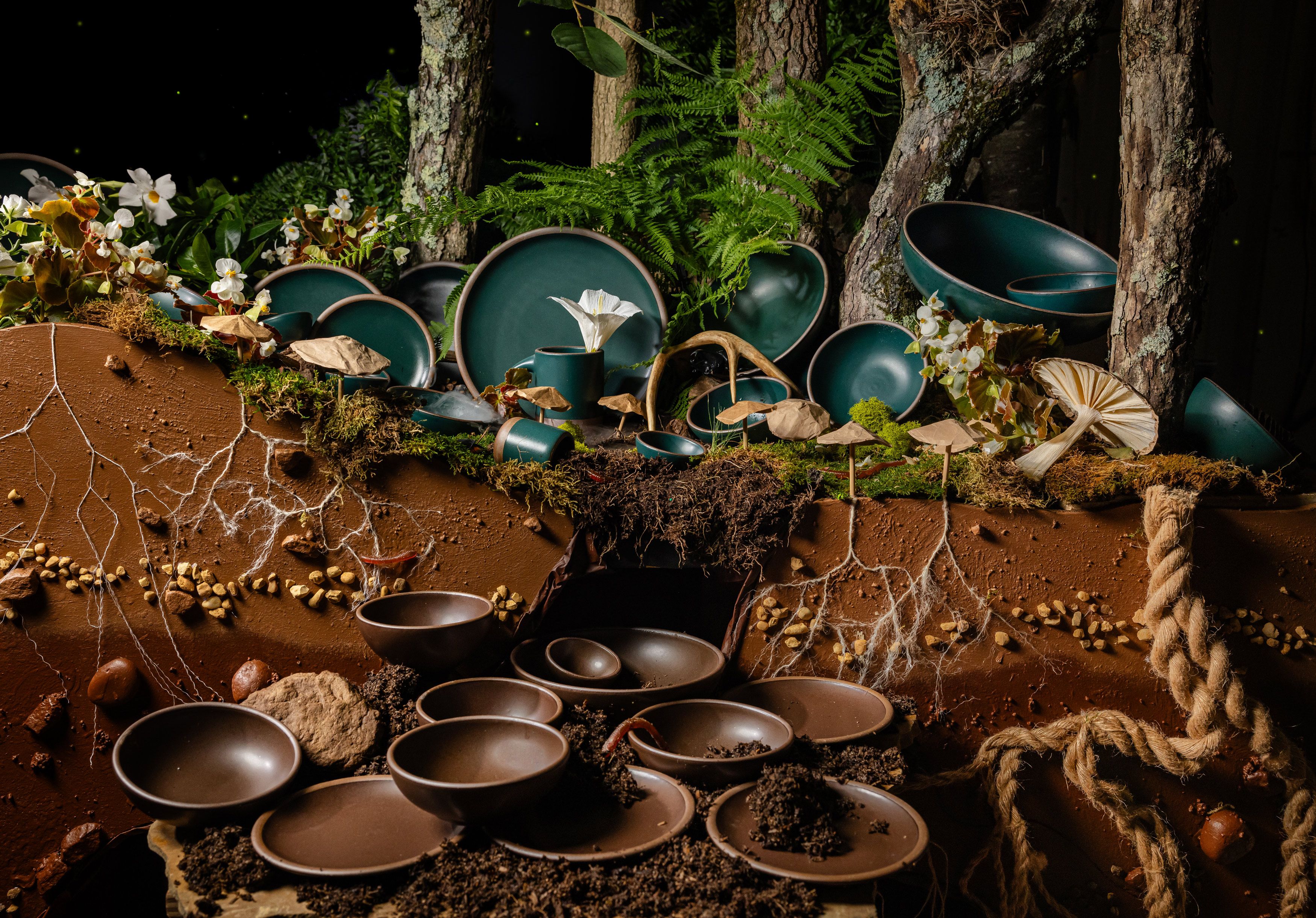 A dark forest set environment that shows off above and below the earth. Above the earth is tree bark, ferns, moss and various ceramic plates and bowls in a deep dark teal. Below earth is roots, rocks, and dirt with various plates and bowls in a dark brown. 