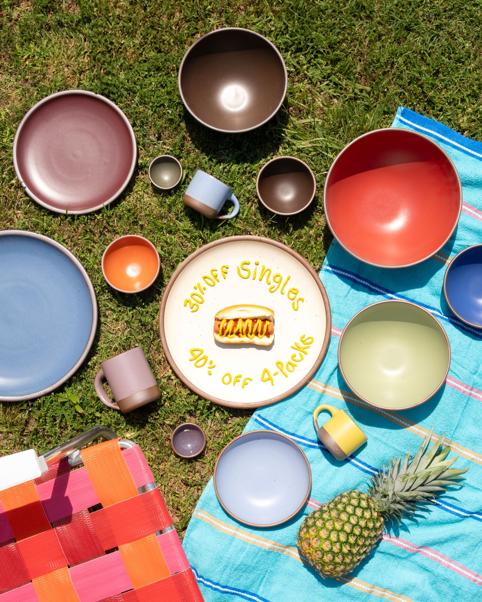 An overhead view of ceramic pots in a rainbow of colors on the grass with a picnic blanket, pineapple, and in the center is a plate with a hotdog and mustard writing that reads "30% off singles, 40% off 4-packs"