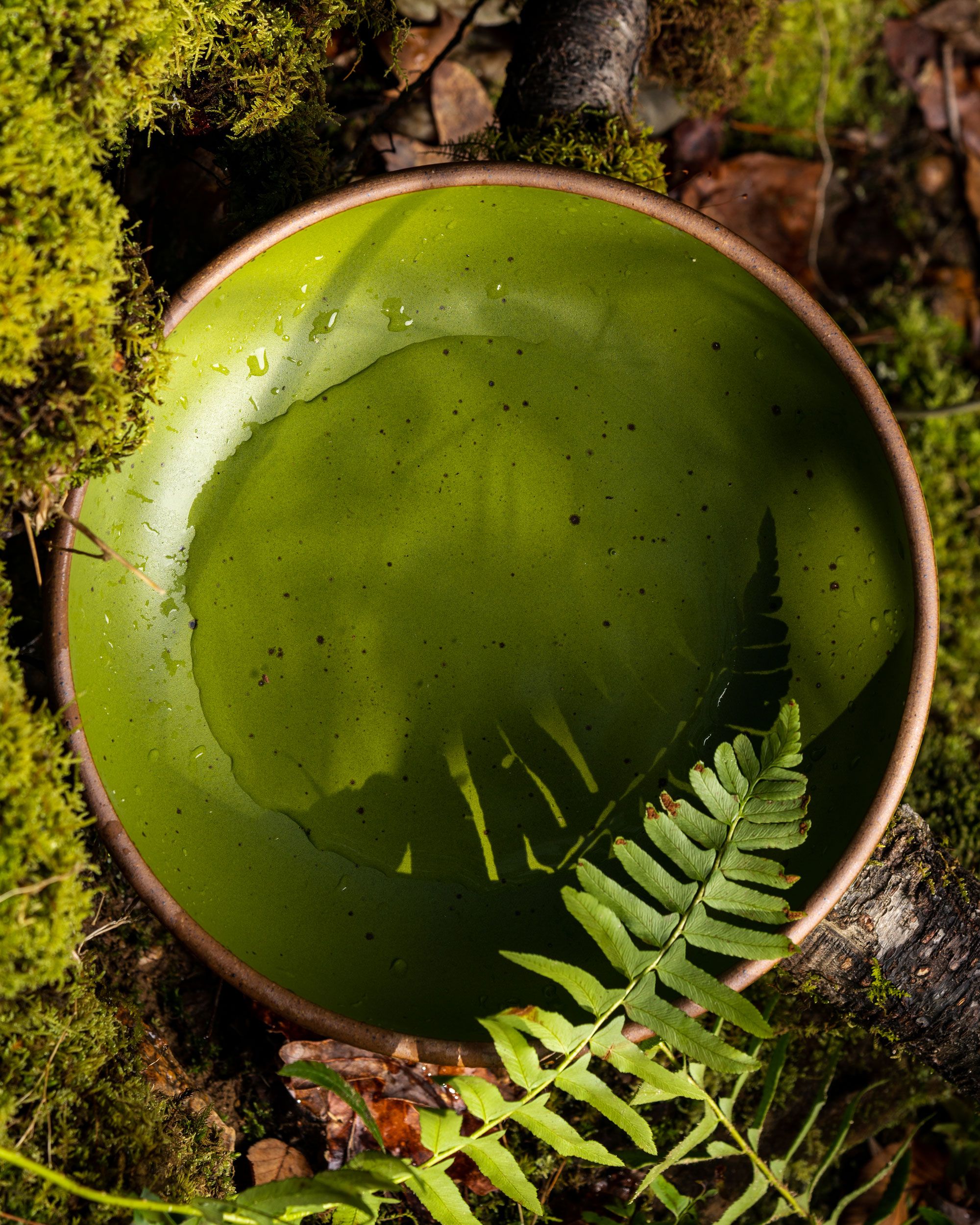 Coupe in fiddlehead glaze with fern