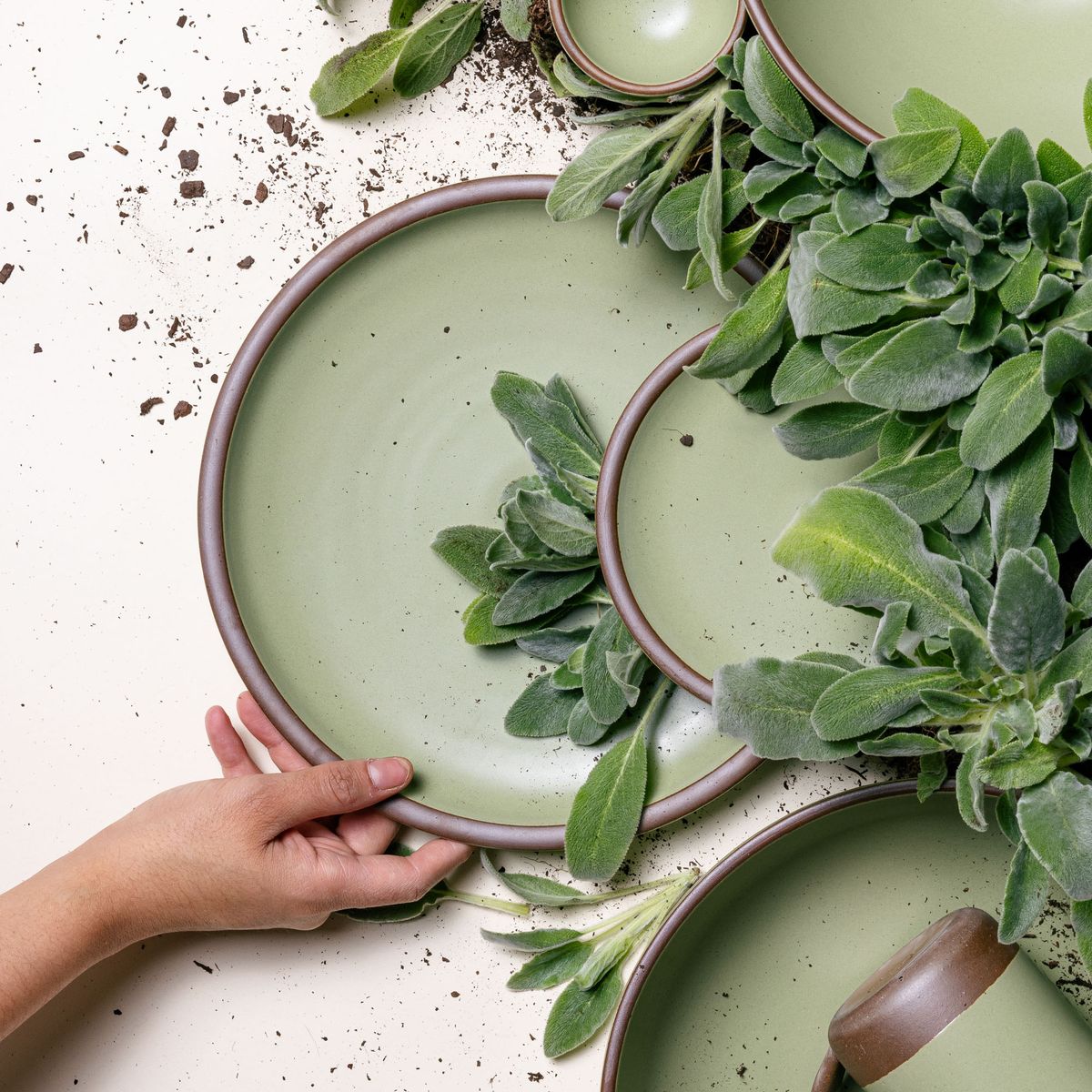 A hold reaching out to hold styled ceramic plates in a calming sage green and surrounded by lamb's ear.