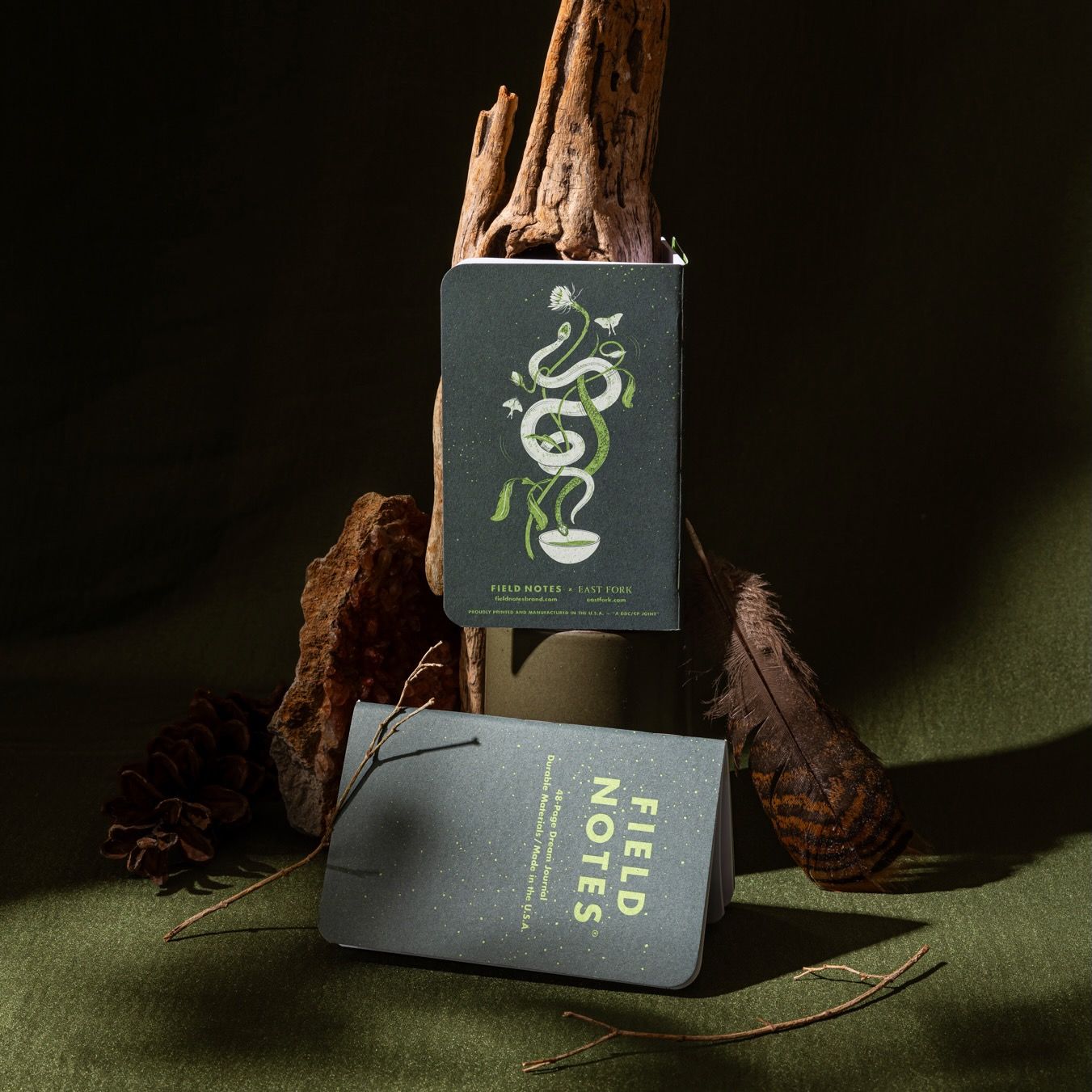 An artful photo featuring the Field Notes dream journal in a green with snake and leaf motifs illustrated on the back cover, and like props surrounding the journals.