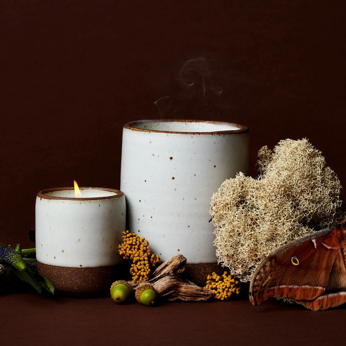 A large and small cool white ceramic candle lit against a dark brown background. Surrounded by elements of nature like dried foliage and a moth.
