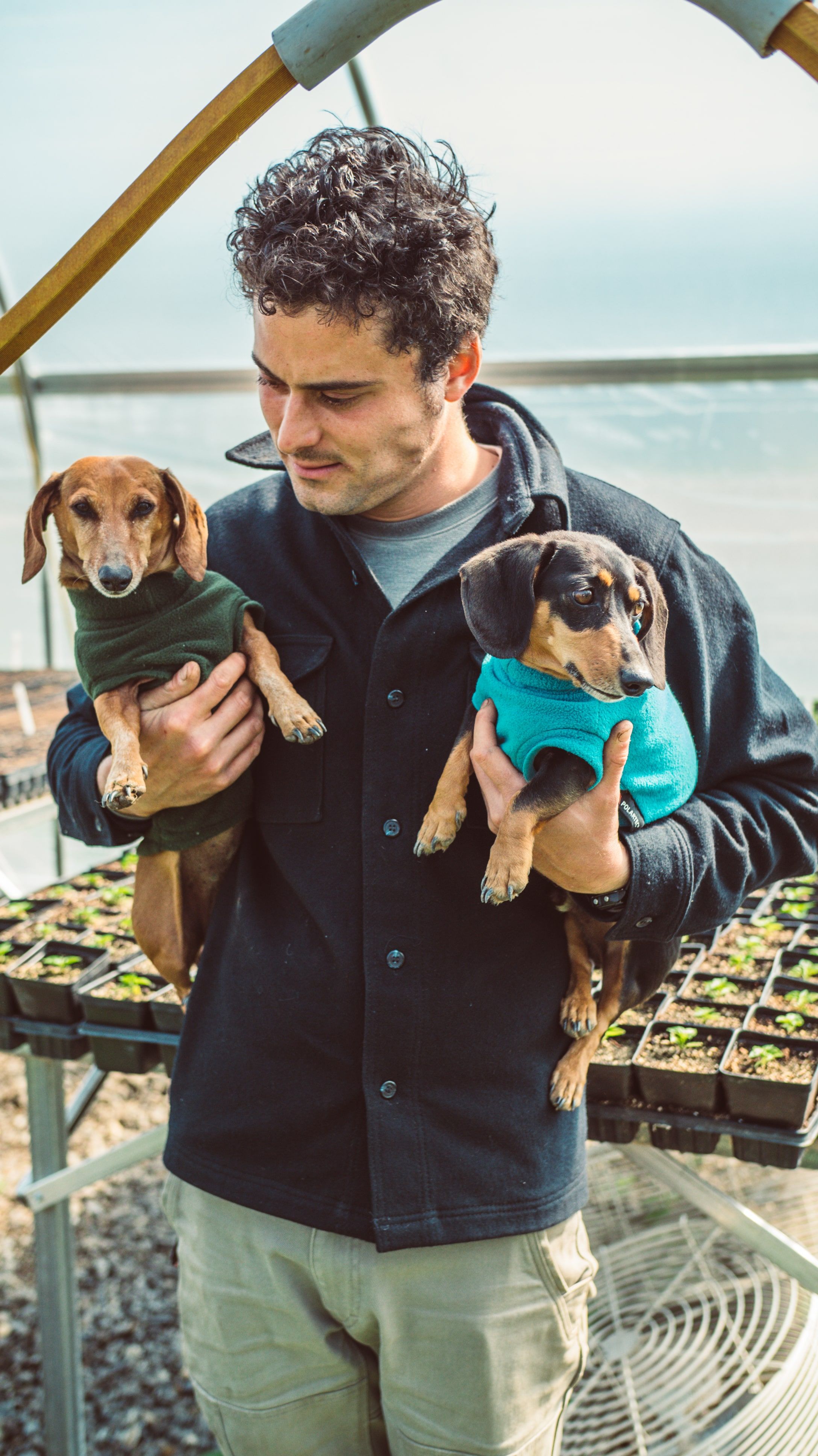 Evan holding his dachshunds, Lyle and Mable