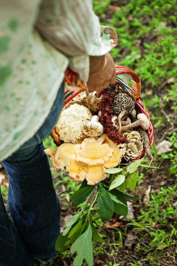 A person carries a basket full of wild, foraged mushrooms through a forest