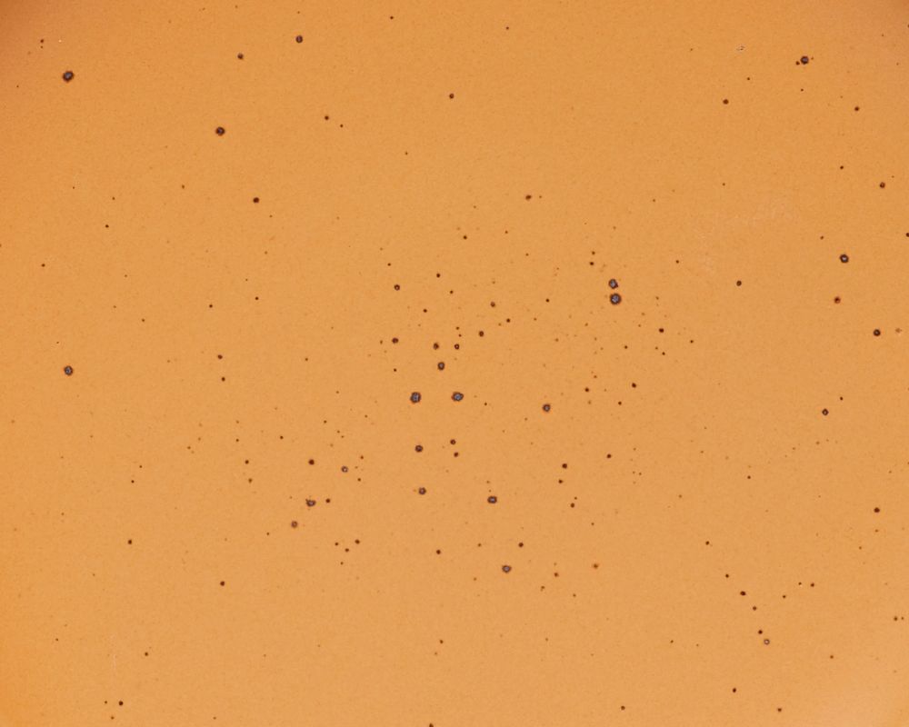 Glazes Tequila Sunrise East Fork