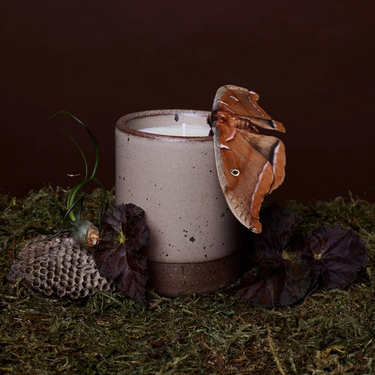 A ceramic muted tan vessel with a candle inside. It is sitting on a bed of moss and surrounded by little pieces of nature like a dried leaf and a moth.